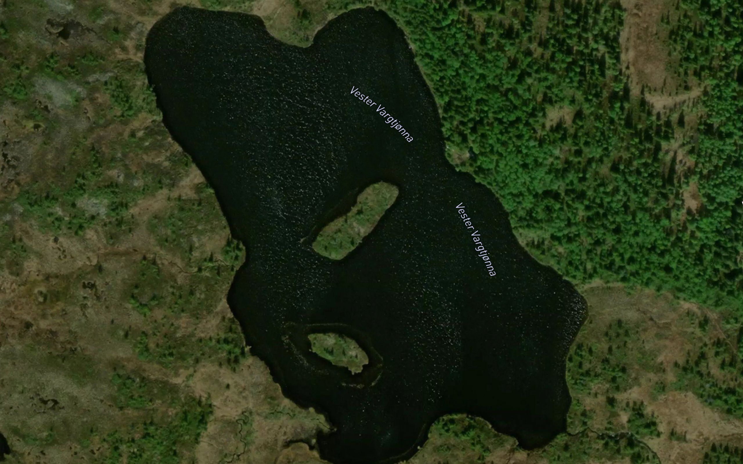 Vester Vargtjonna