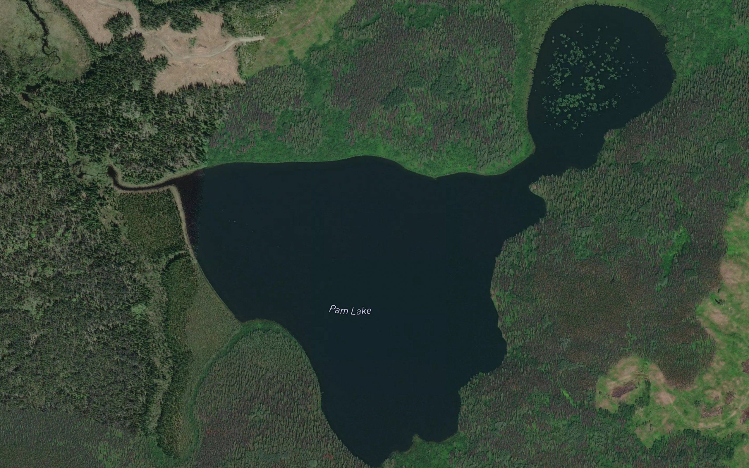 Pam Lake