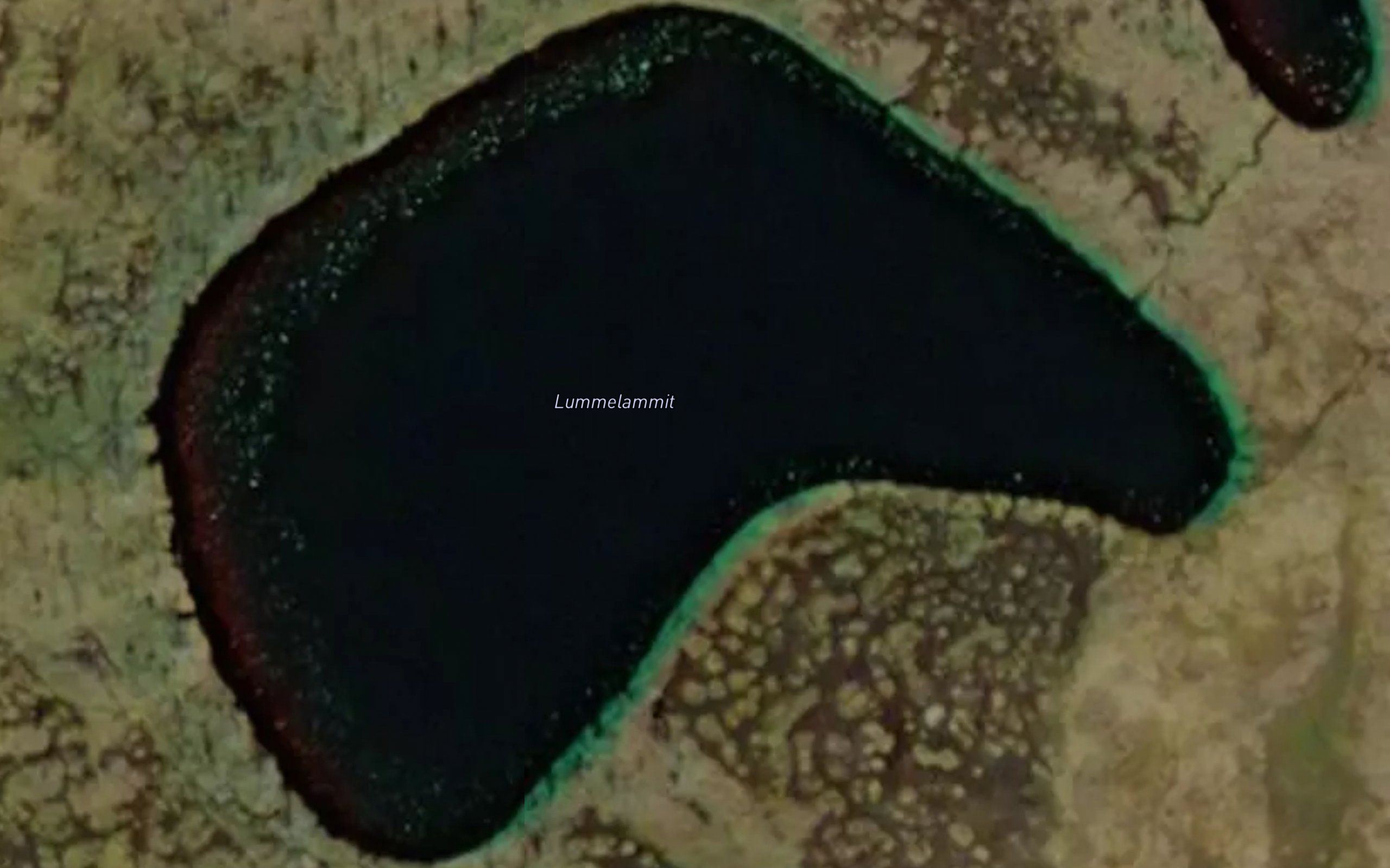 Lummelammit