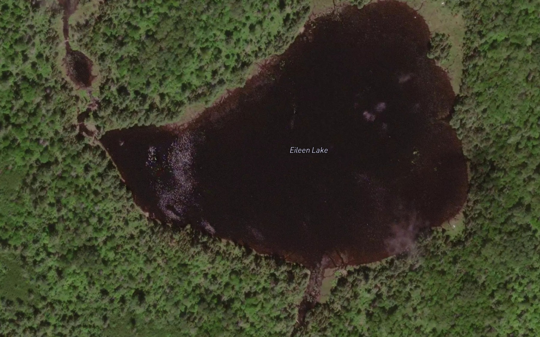 Satellite map of the Eileen Lake