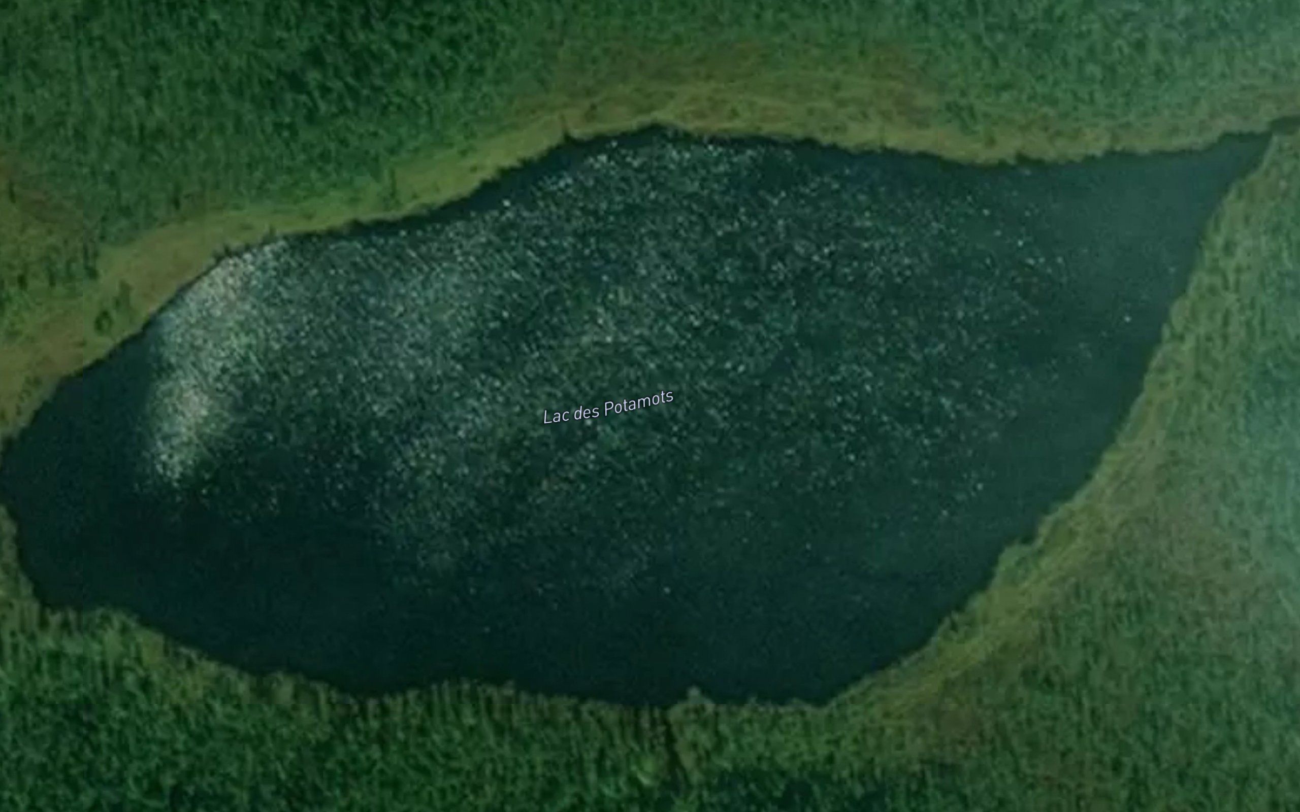 Lac des Potamots