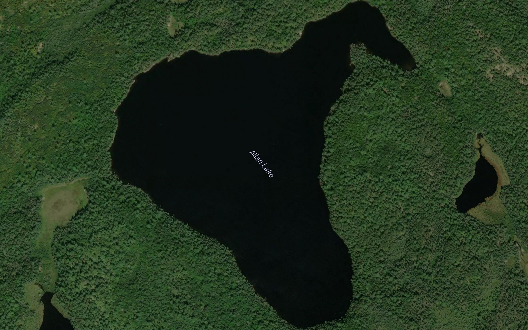 Satellite map of the Allan Lake