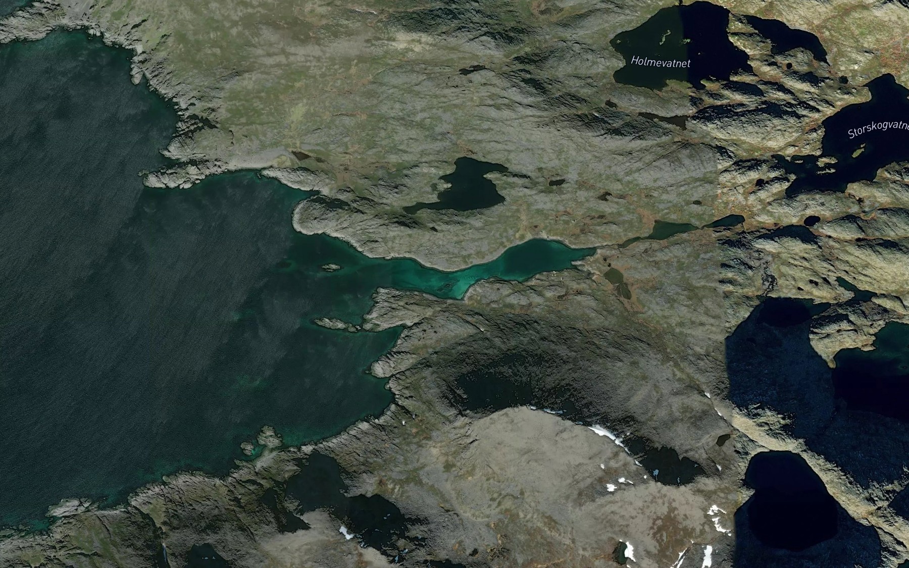 Satellite map of the Lyngpollen