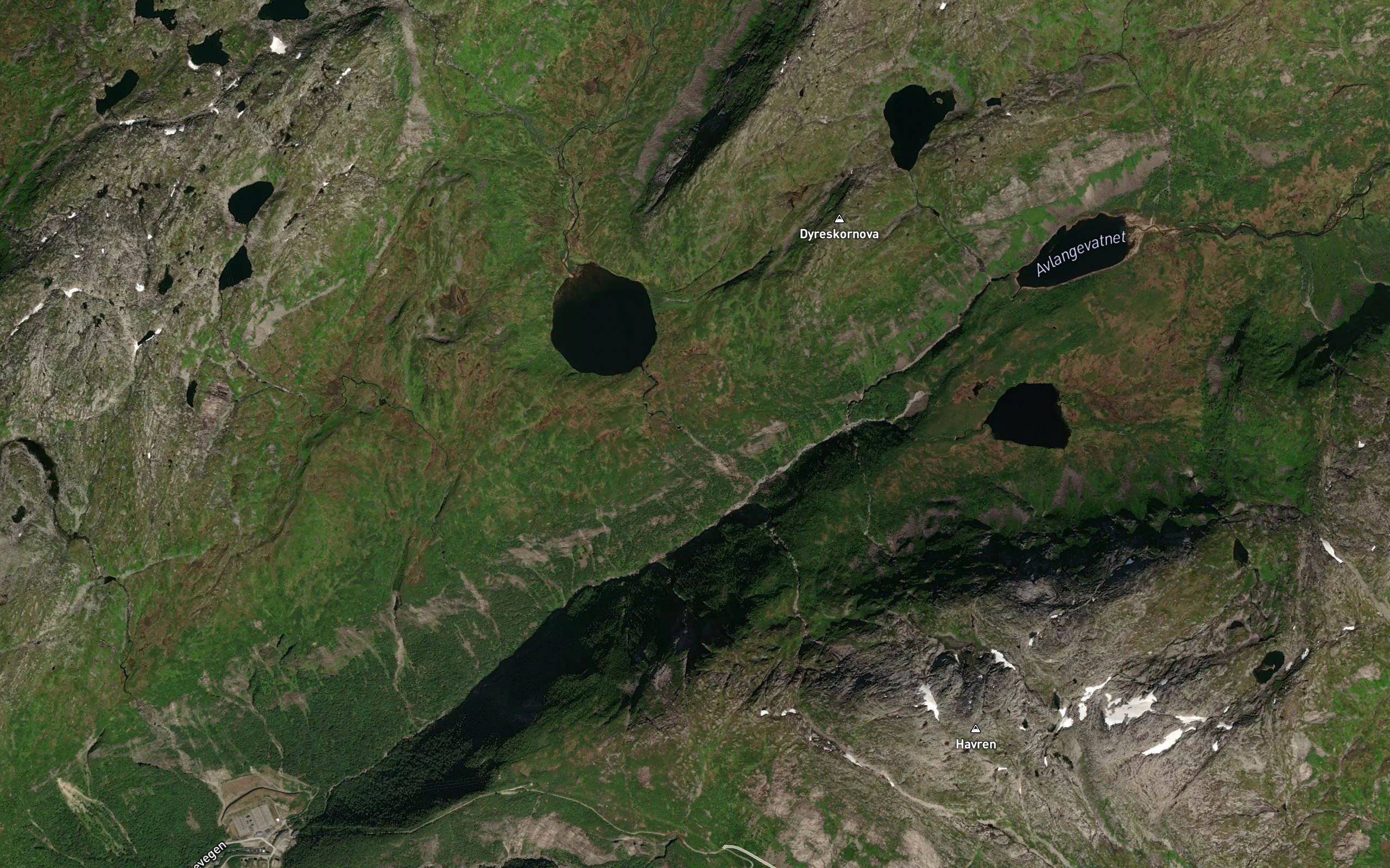 Vassoselva