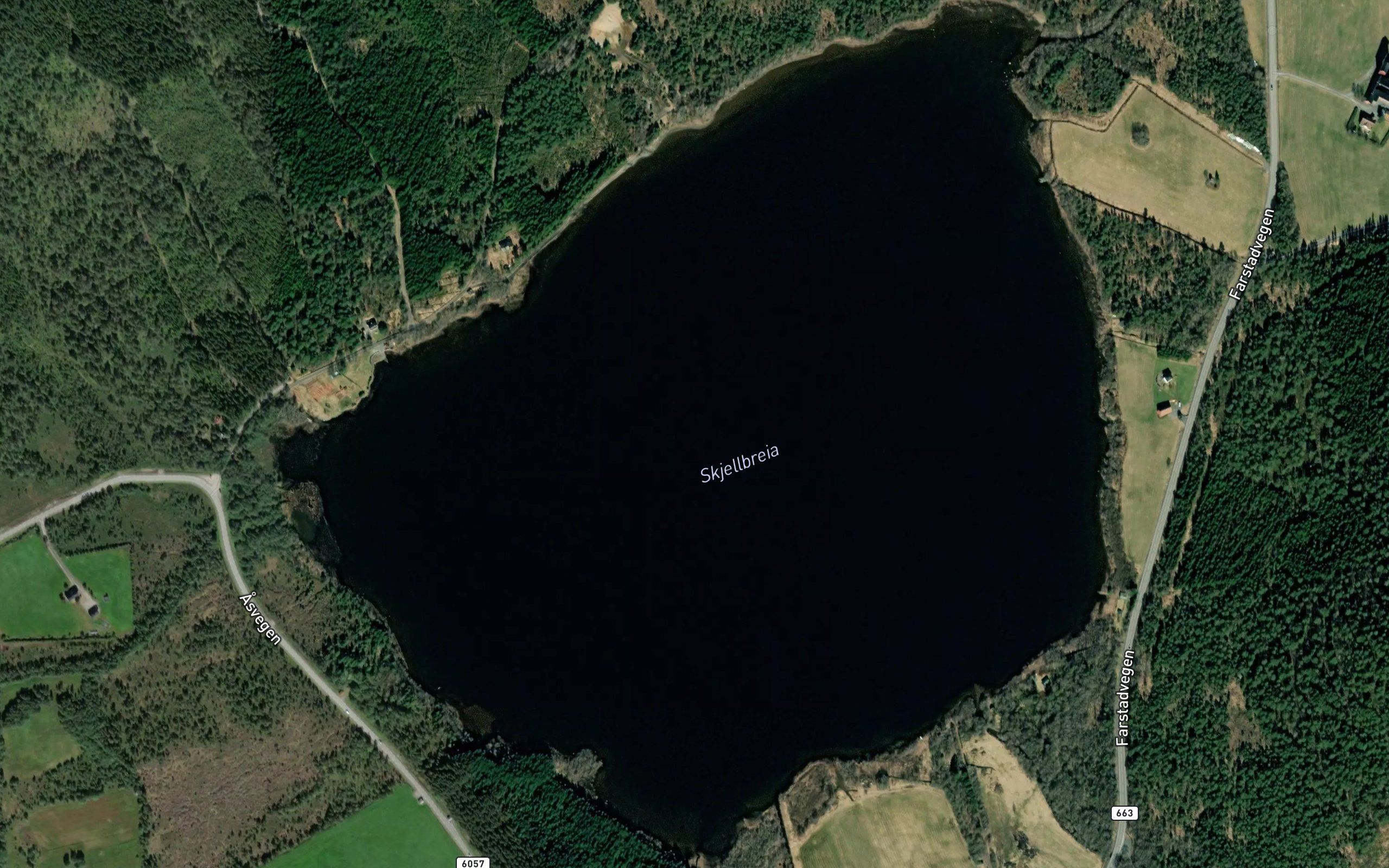 Skjellbreia