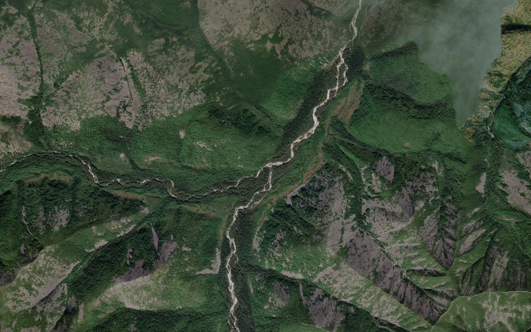 Satellite map of the Levyy Shavlitskiy
