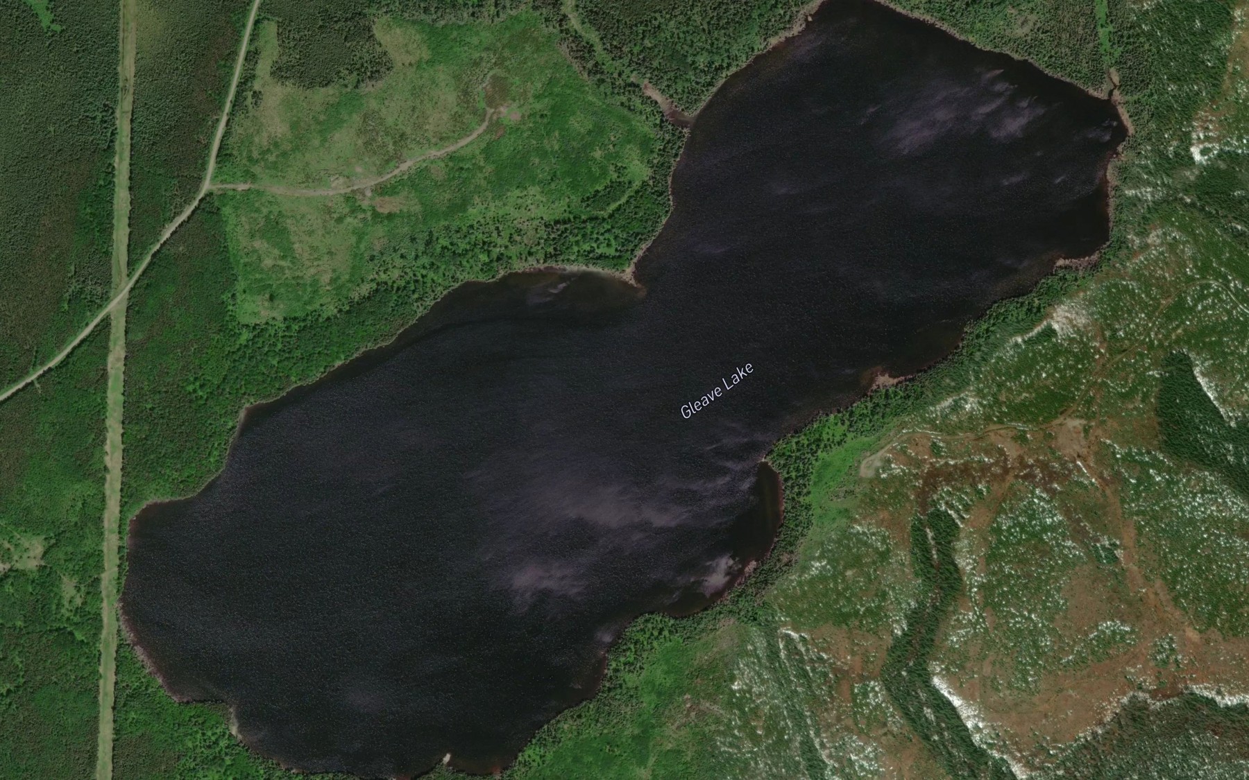 Satellite map of the Gleave Lake