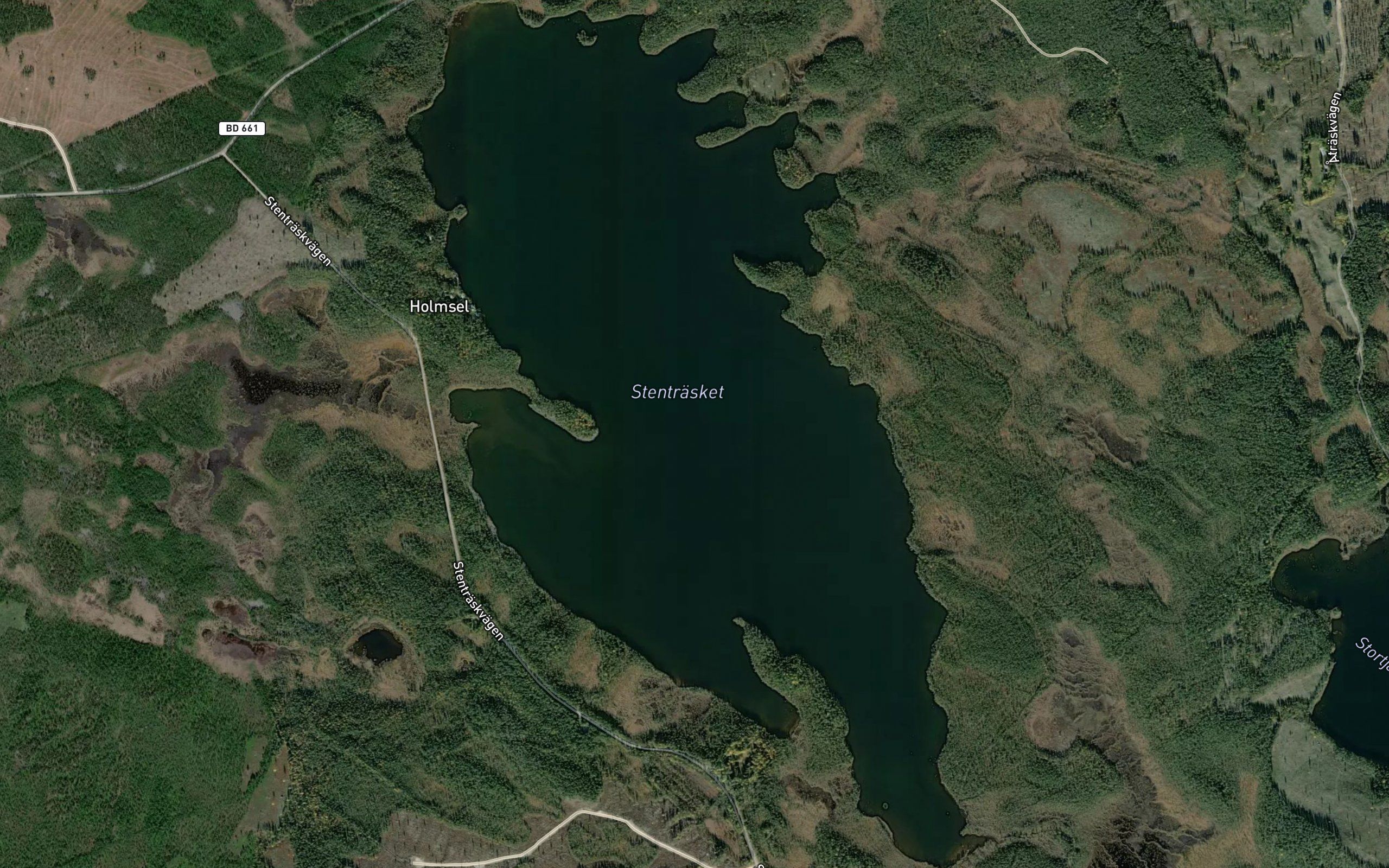 Stentrasket