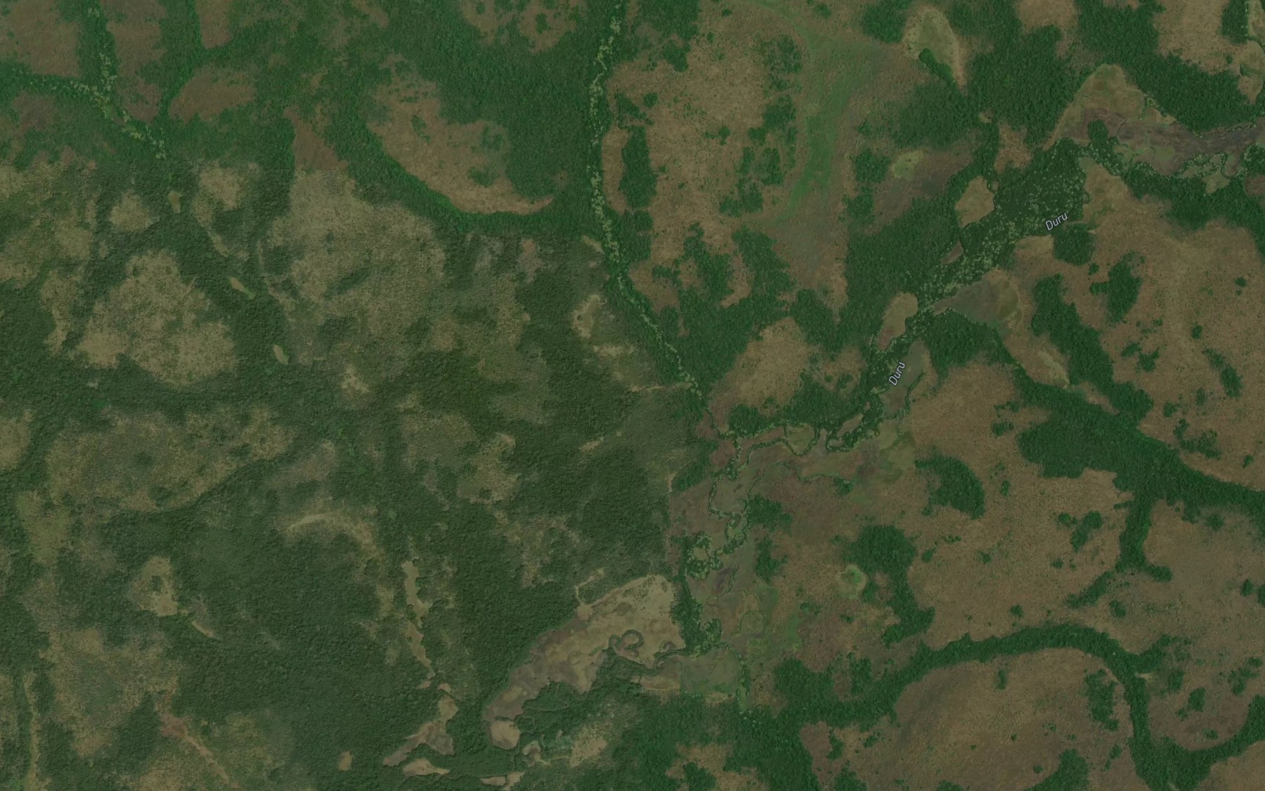 Satellite map of the Limisende