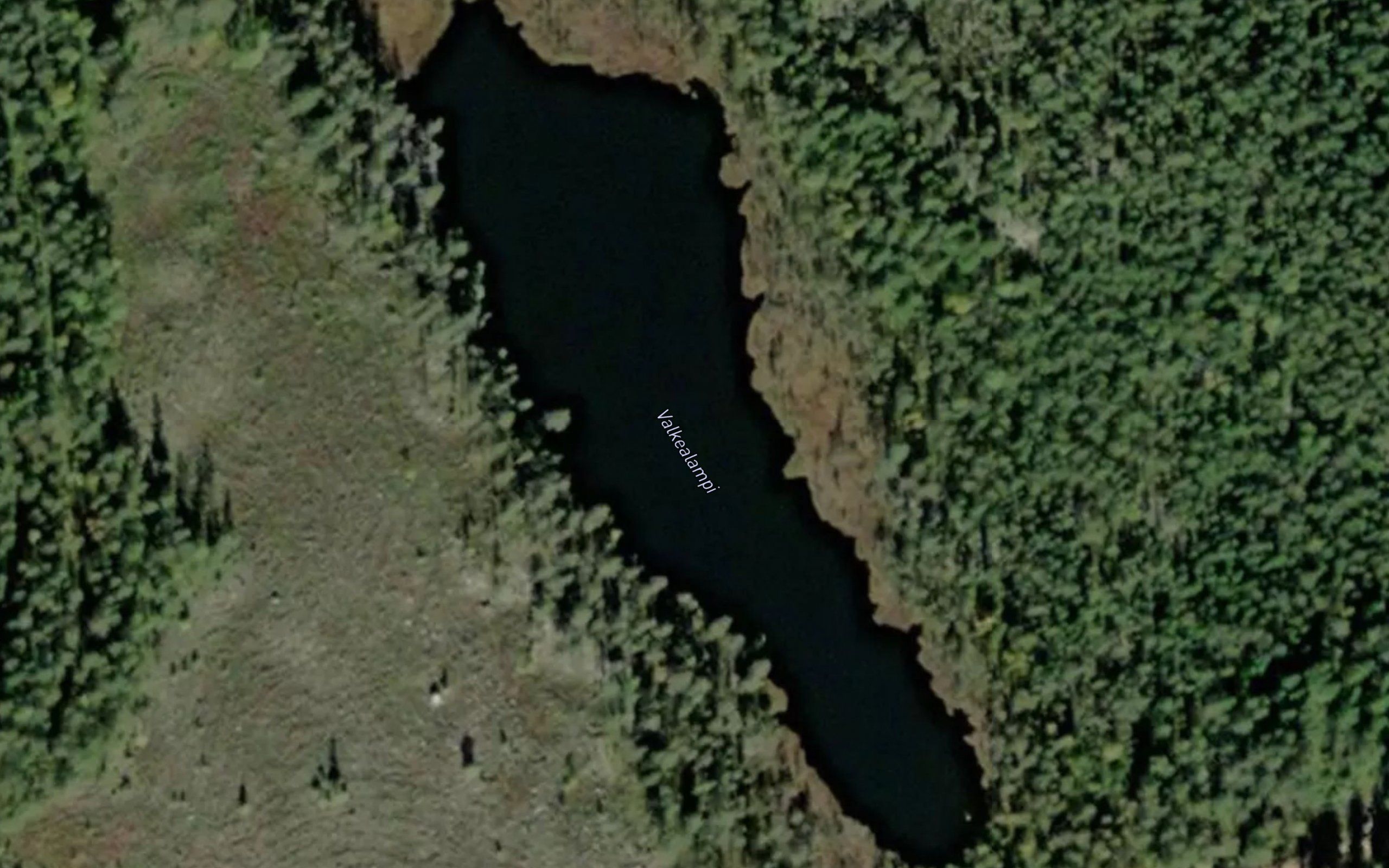 Valkealampi