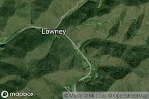 Pumpkin Field Branch