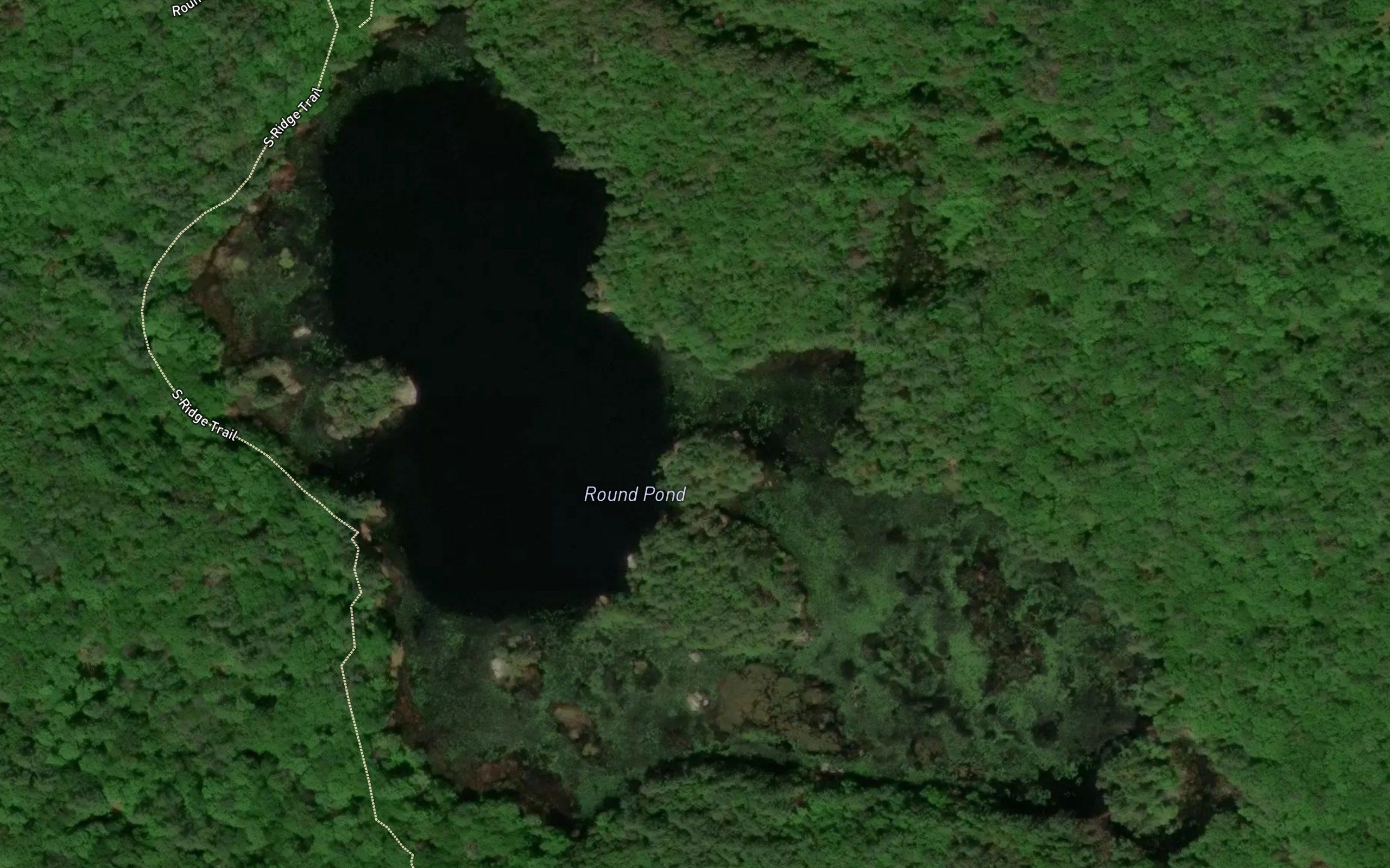 Round Pond