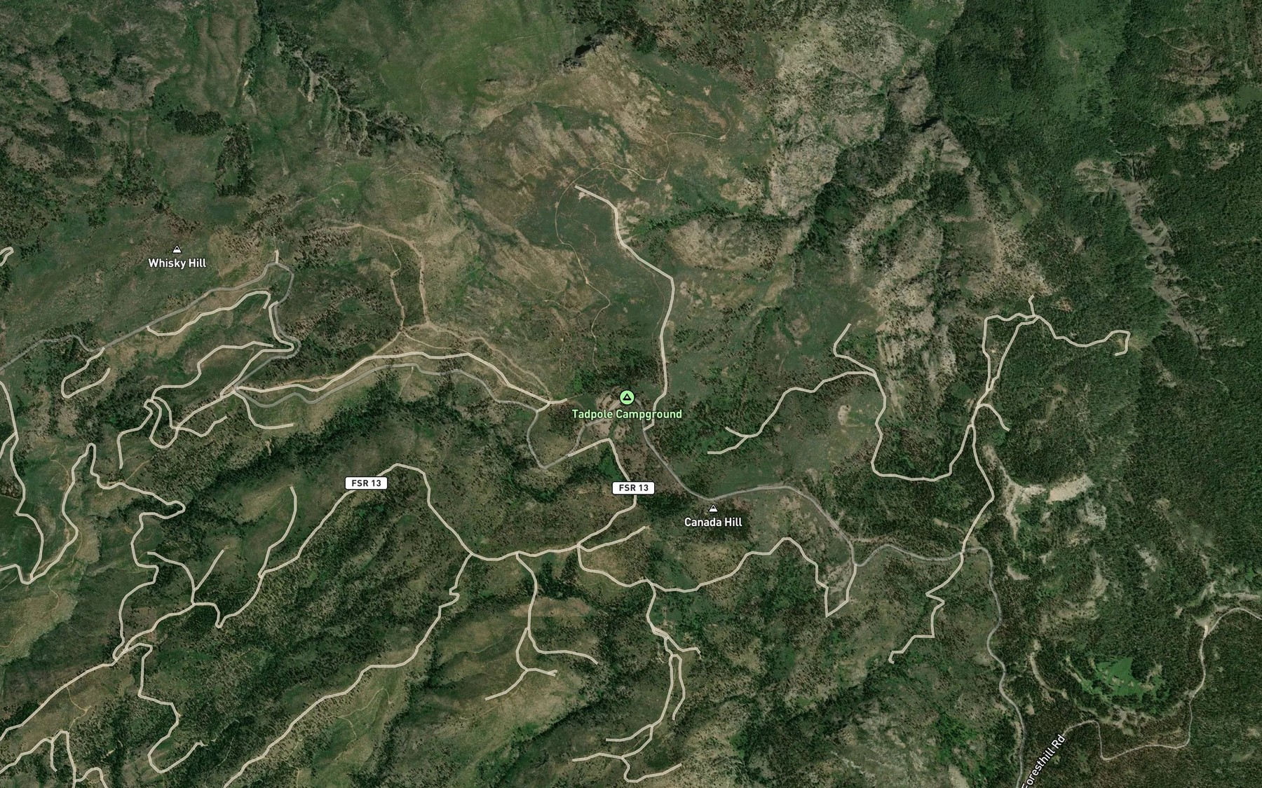Satellite map of the Tadpole Spring