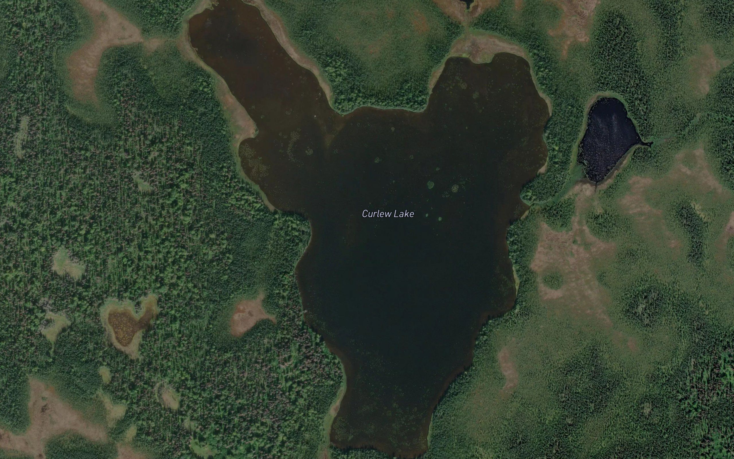 Curlew Lake