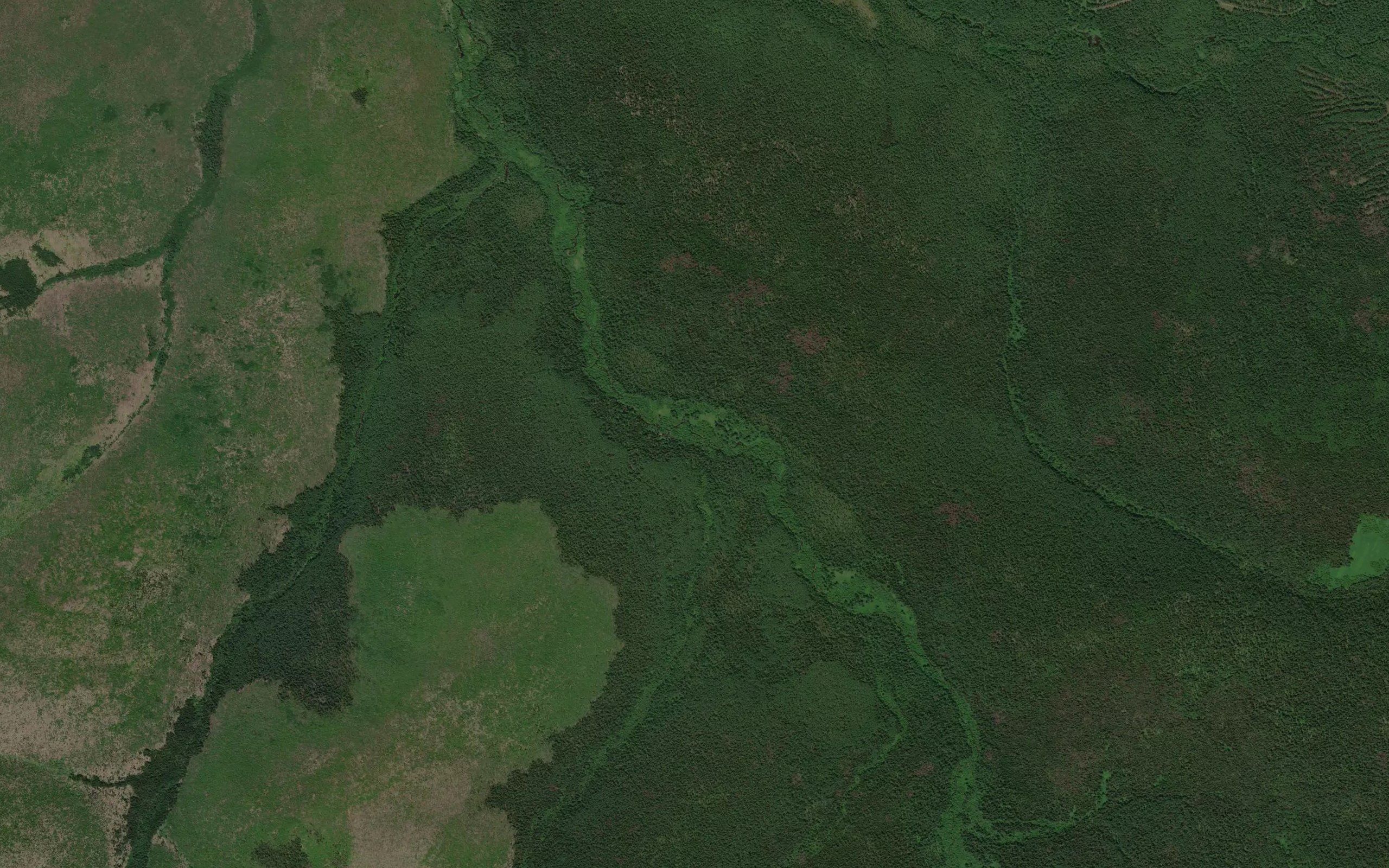 Skrytnyy