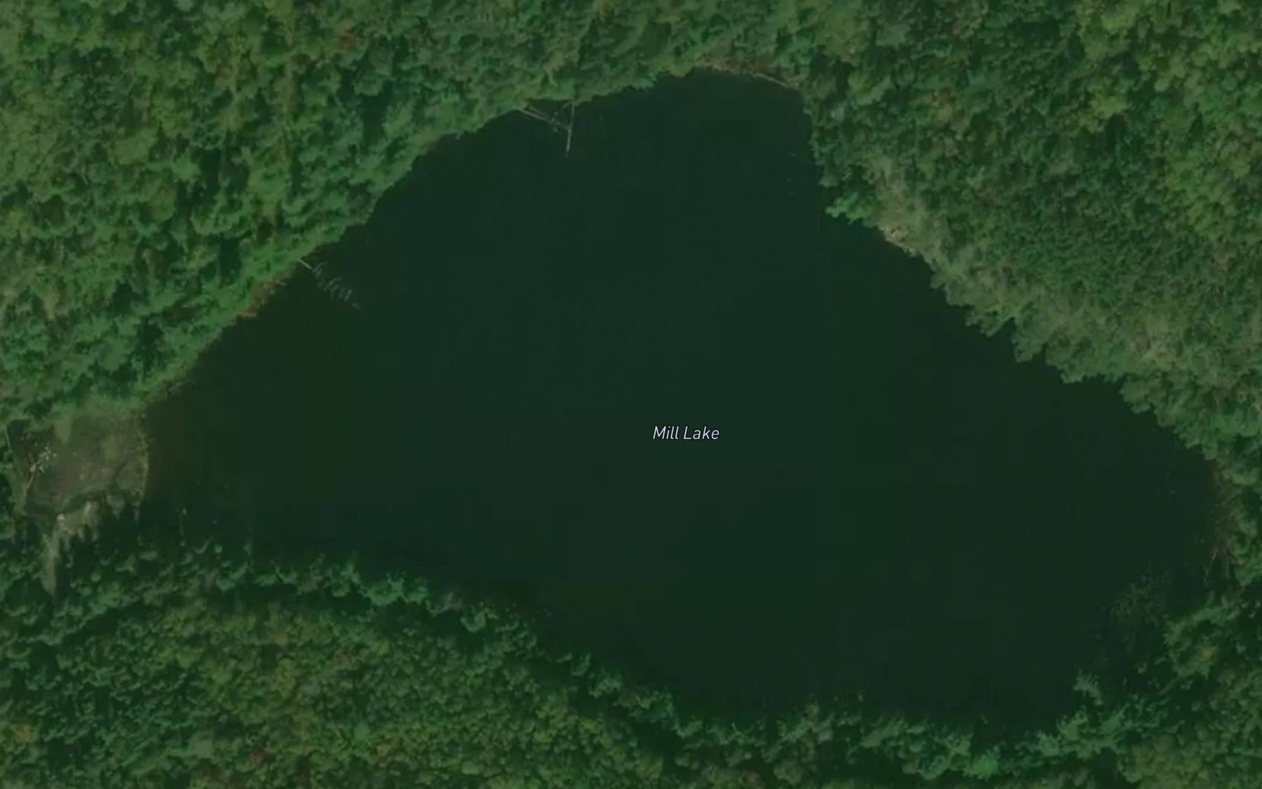 Satellite map of the Mill Lake