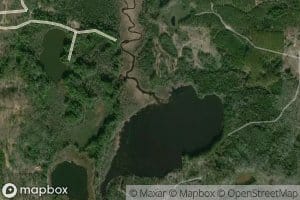 Pine Lake Creek