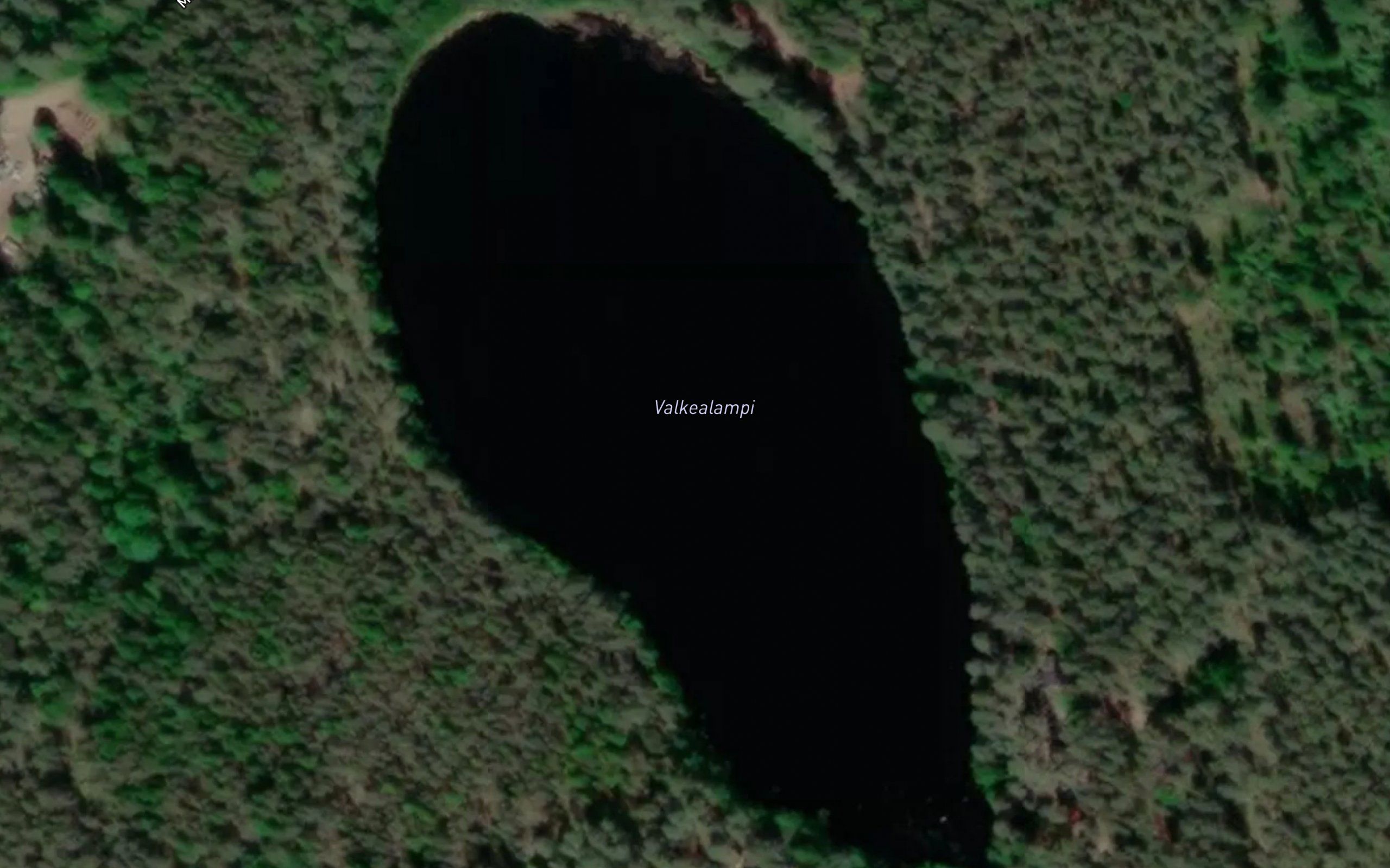 Valkealampi