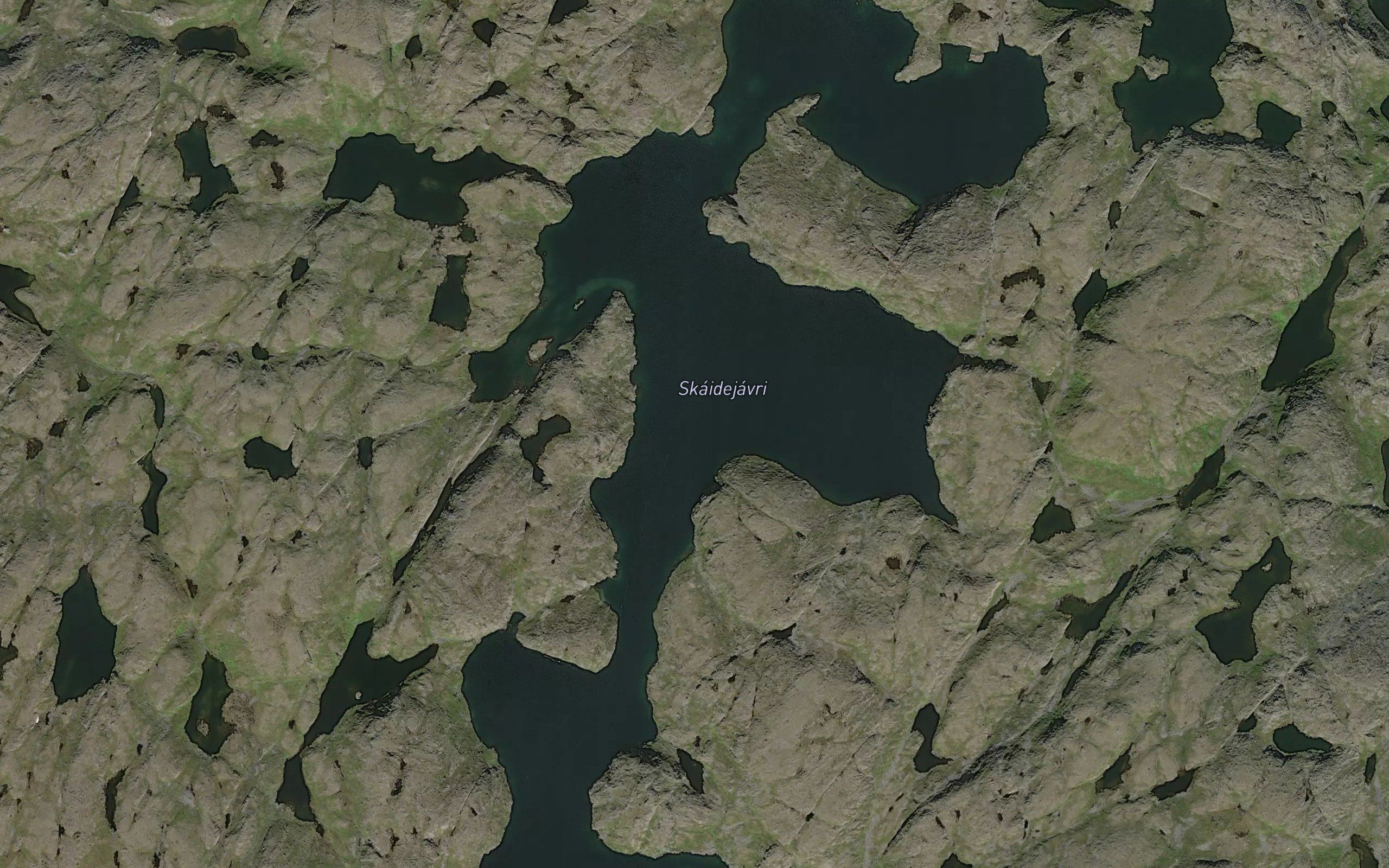 Skaidejavri