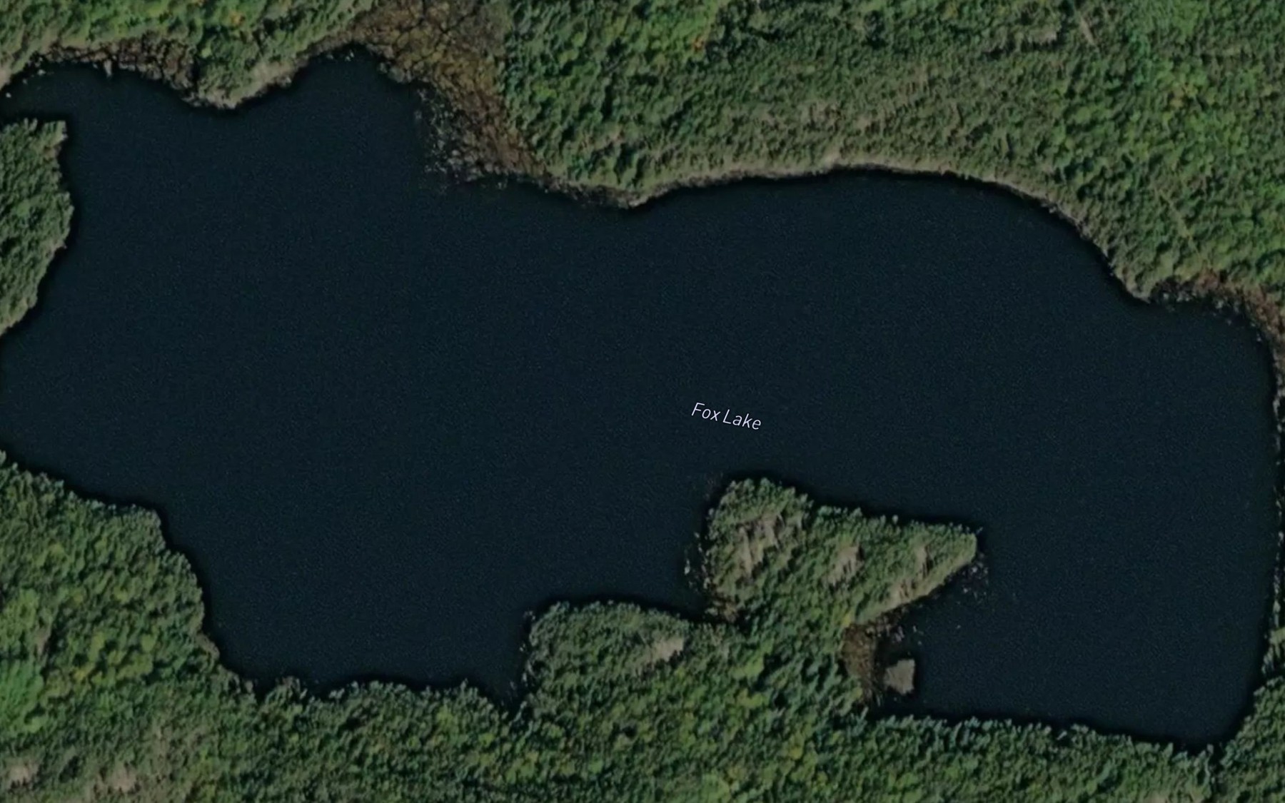 Satellite map of the Fox Lake