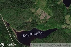 Hogtjarn