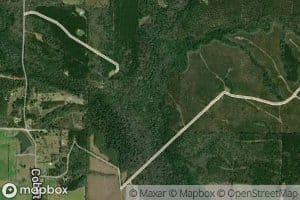 Blackjack Creek