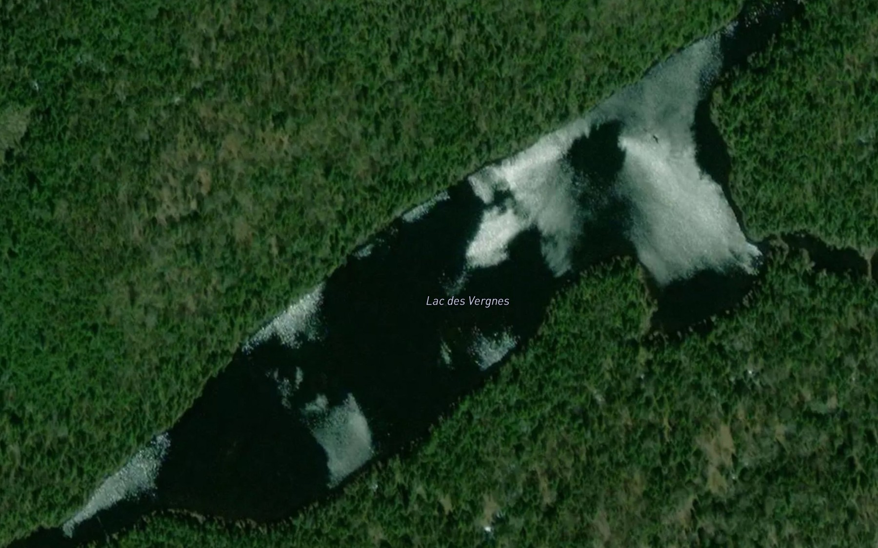 Satellite map of the Lac des Vergnes