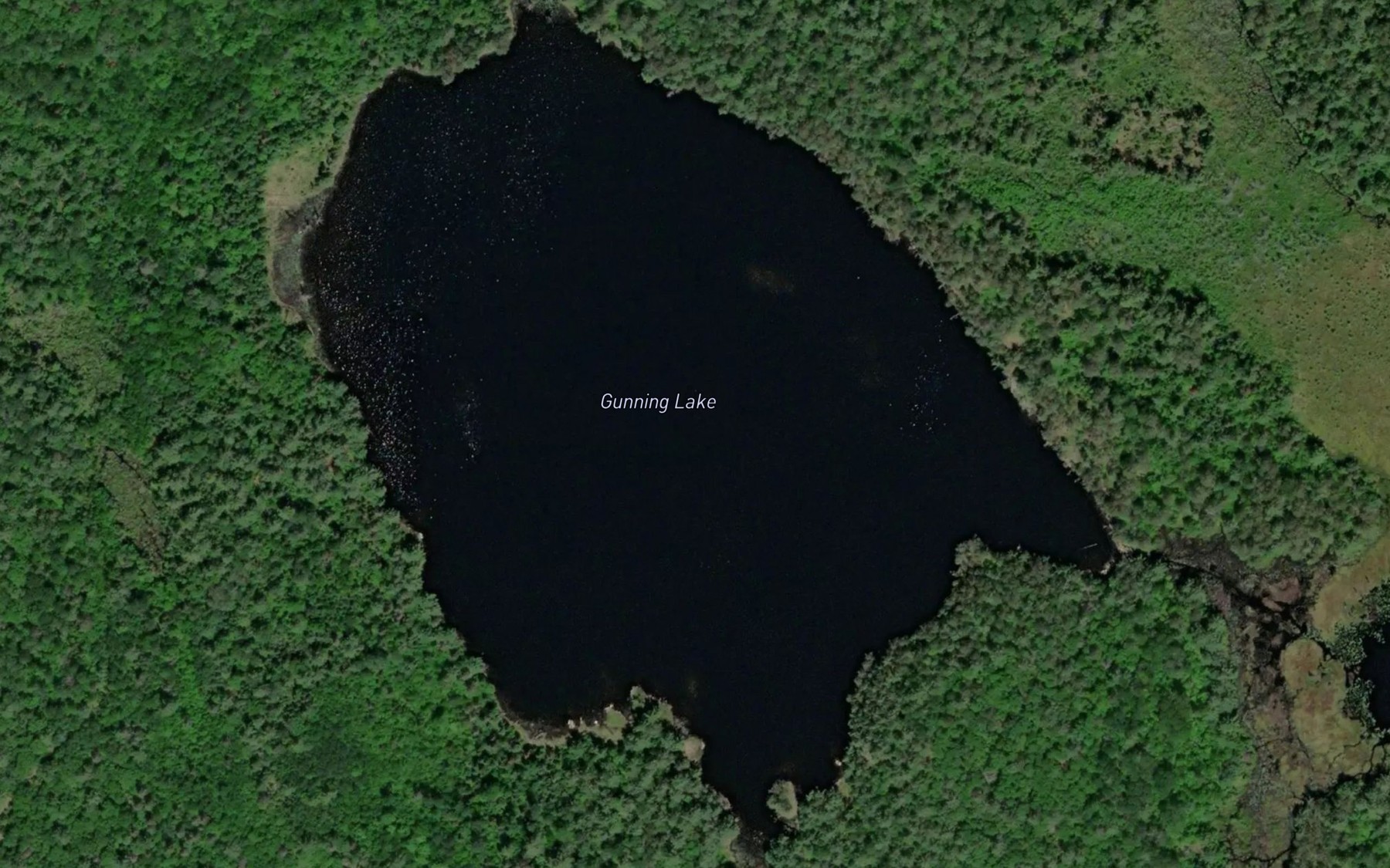Satellite map of the Gunning Lake