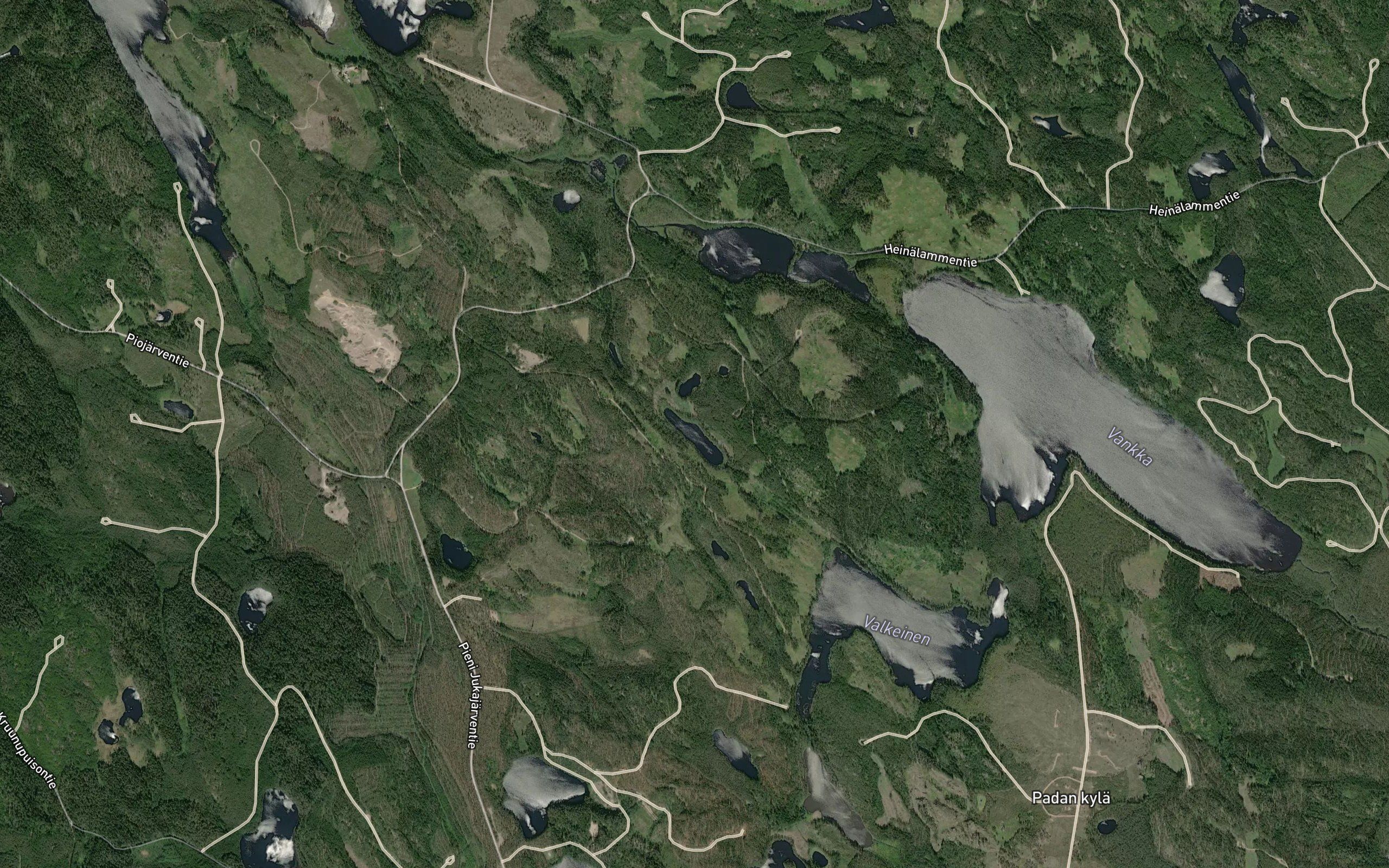 Haukilampi