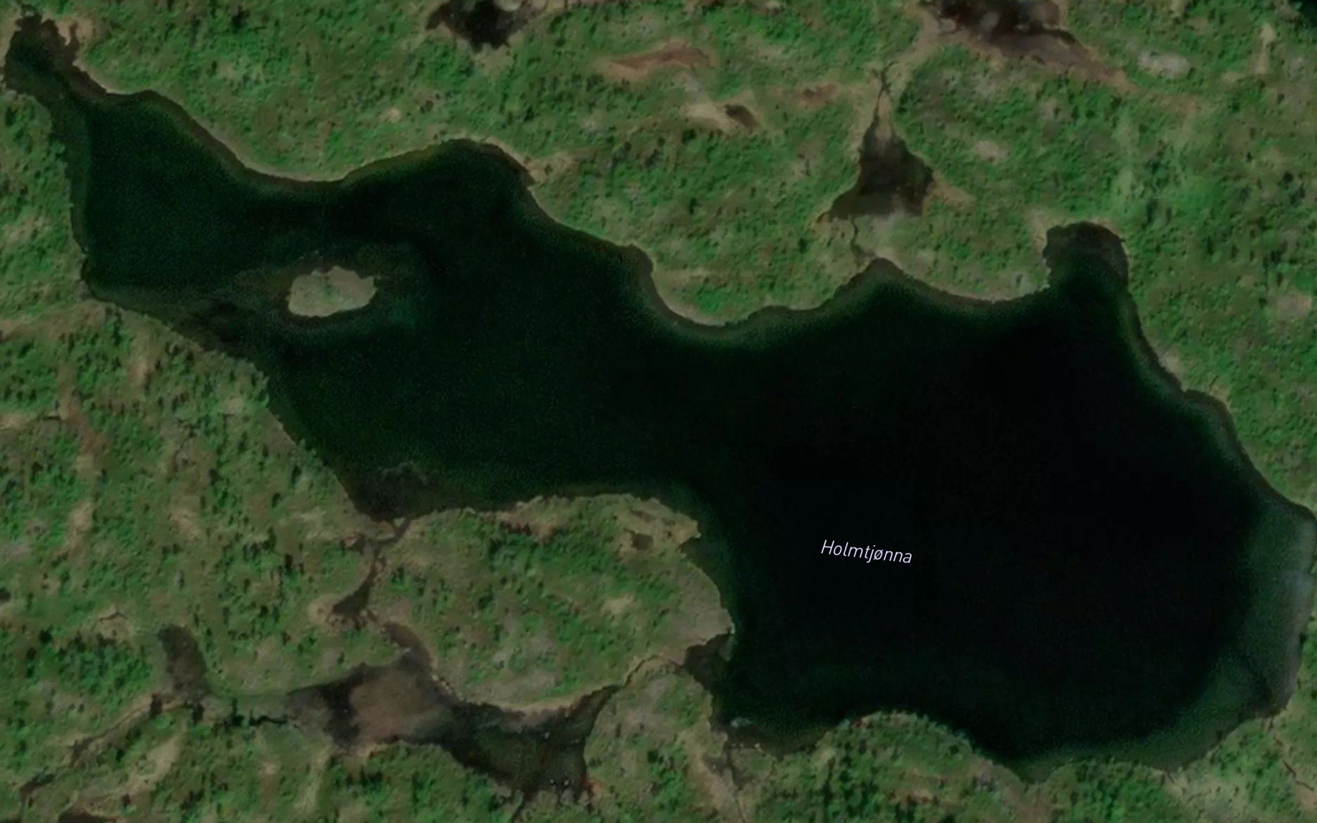 Holmtjorna