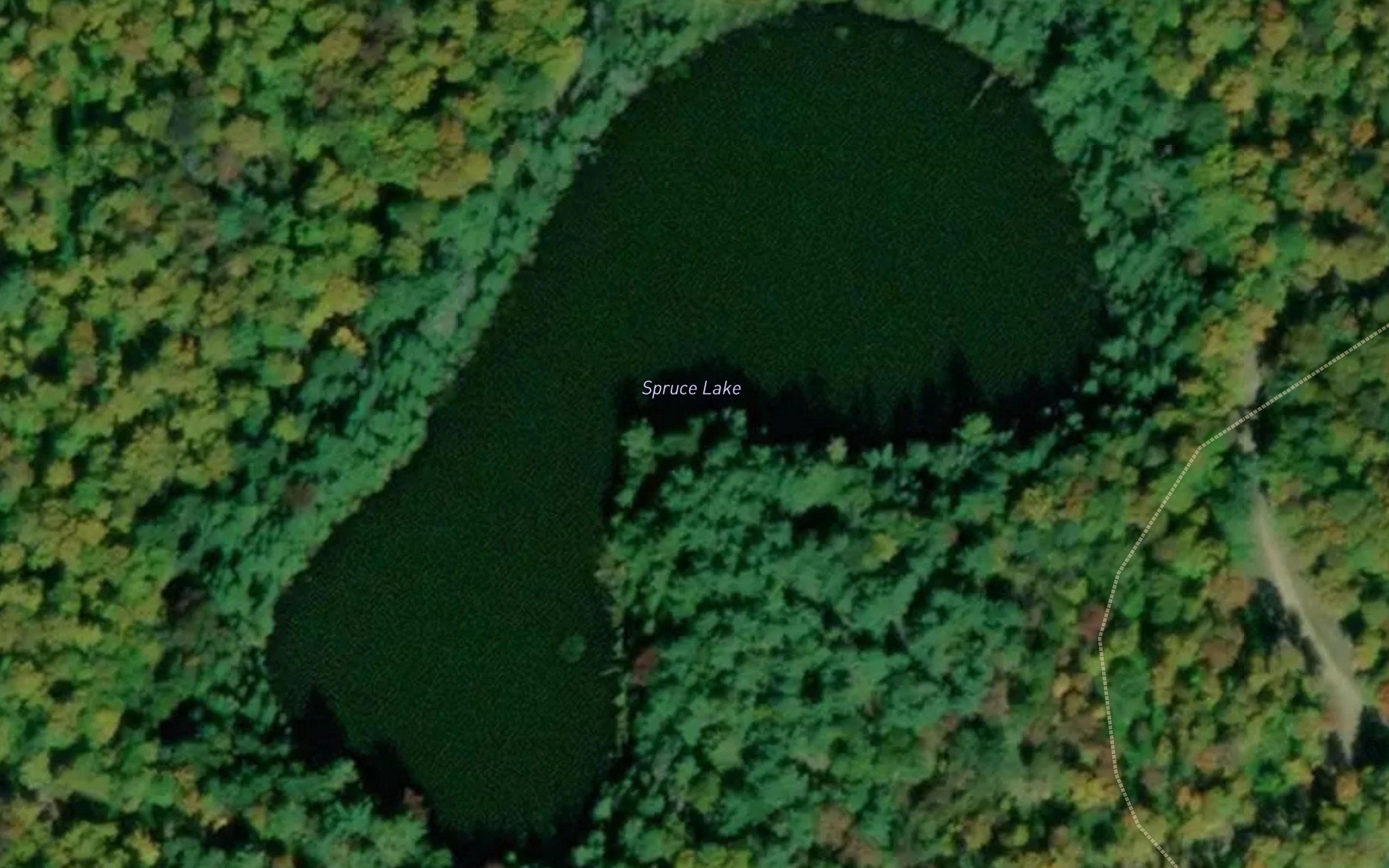 Spruce Lake