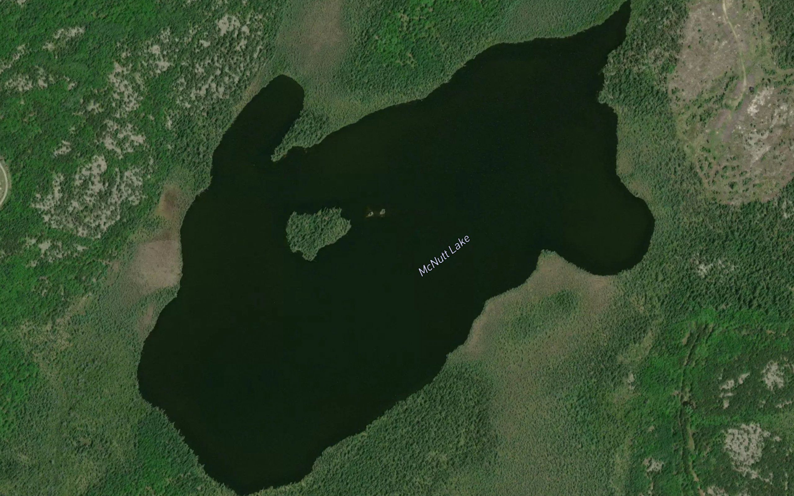 McNutt Lake