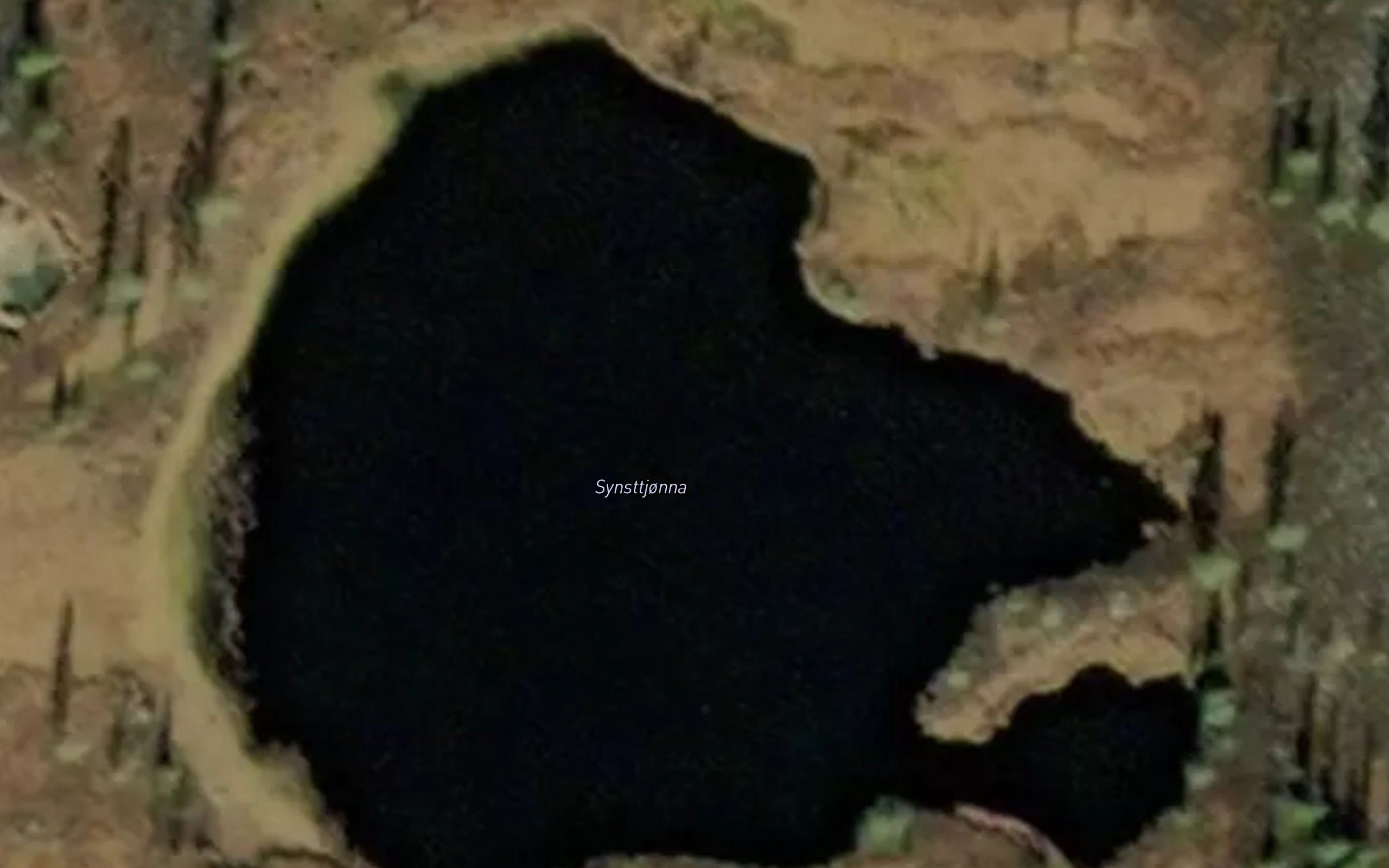 Synsttjorna