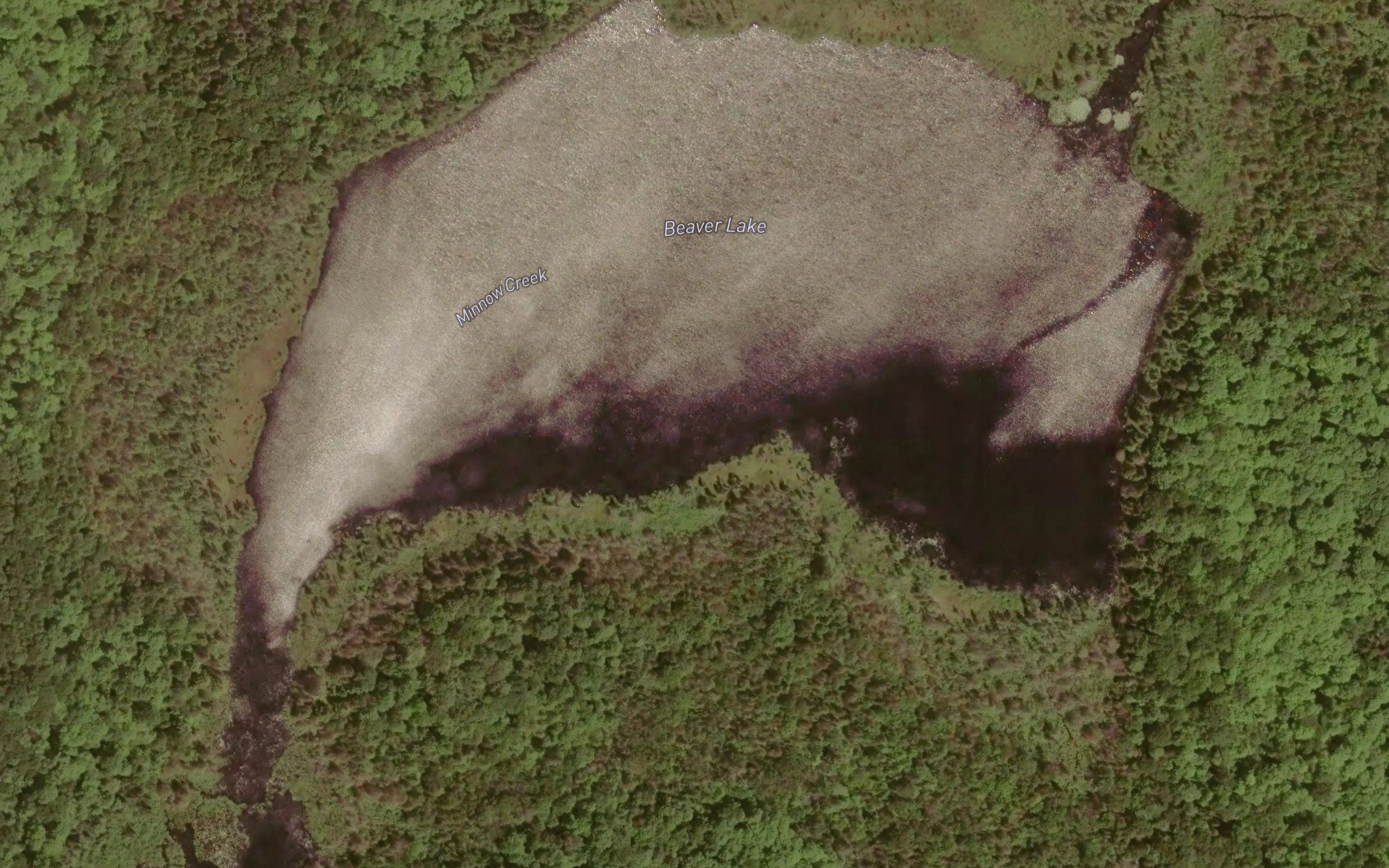 Beaver Lake