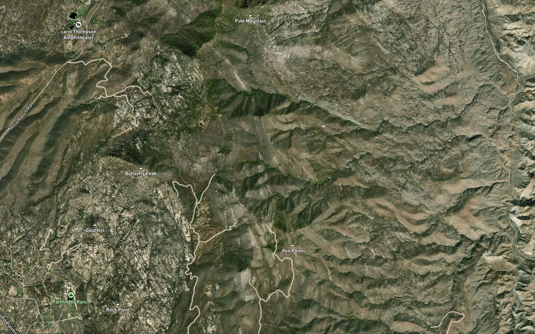 Satellite map of the Live Oak Spring