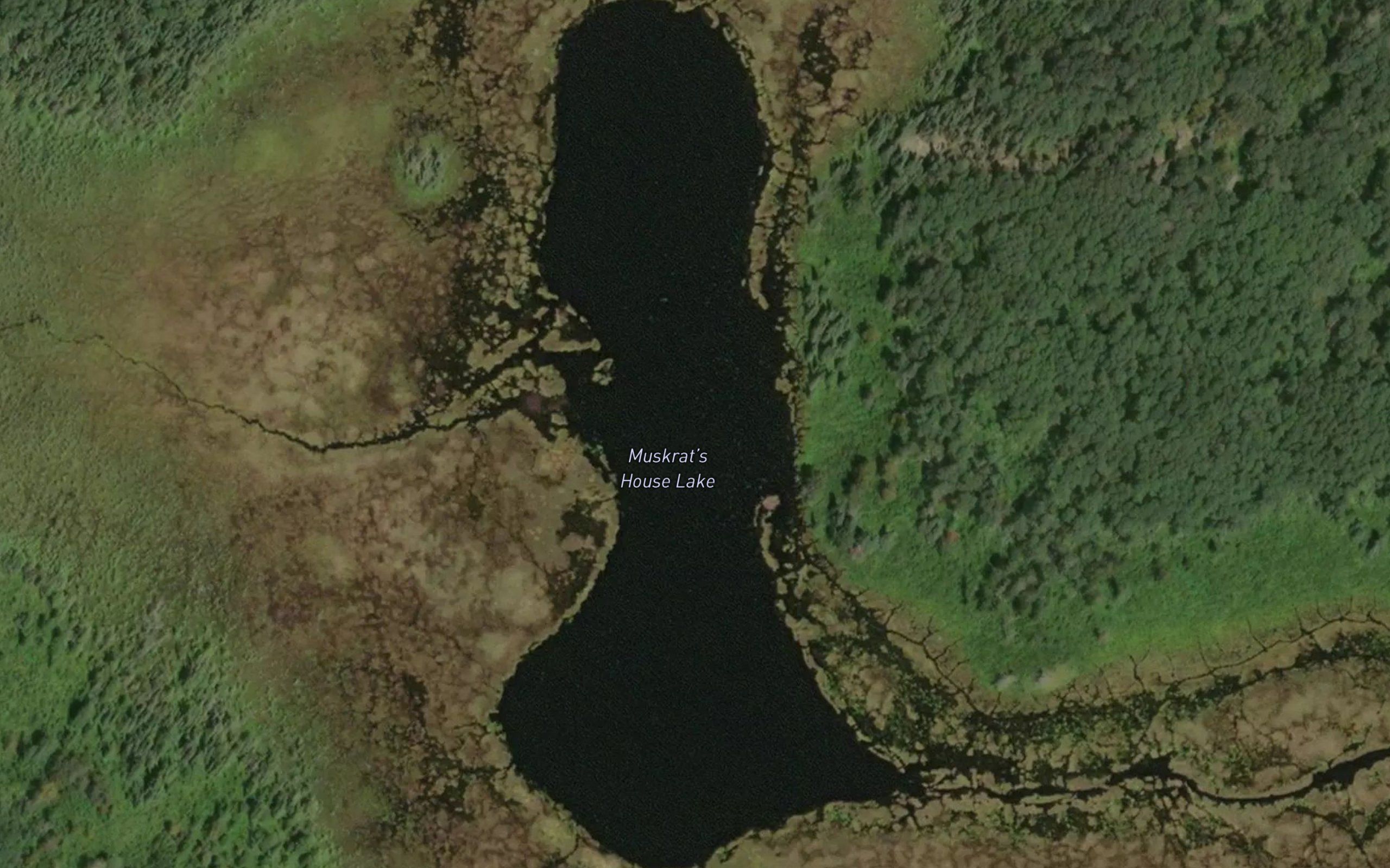 Muskrat's House Lake