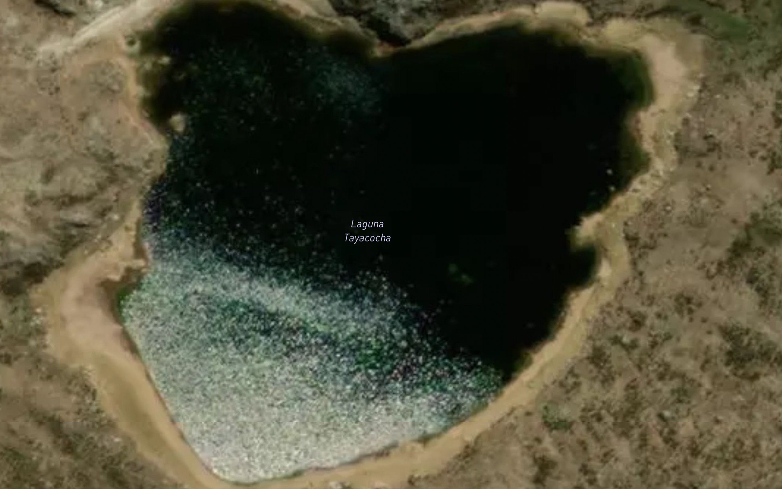 Laguna Tayacocha