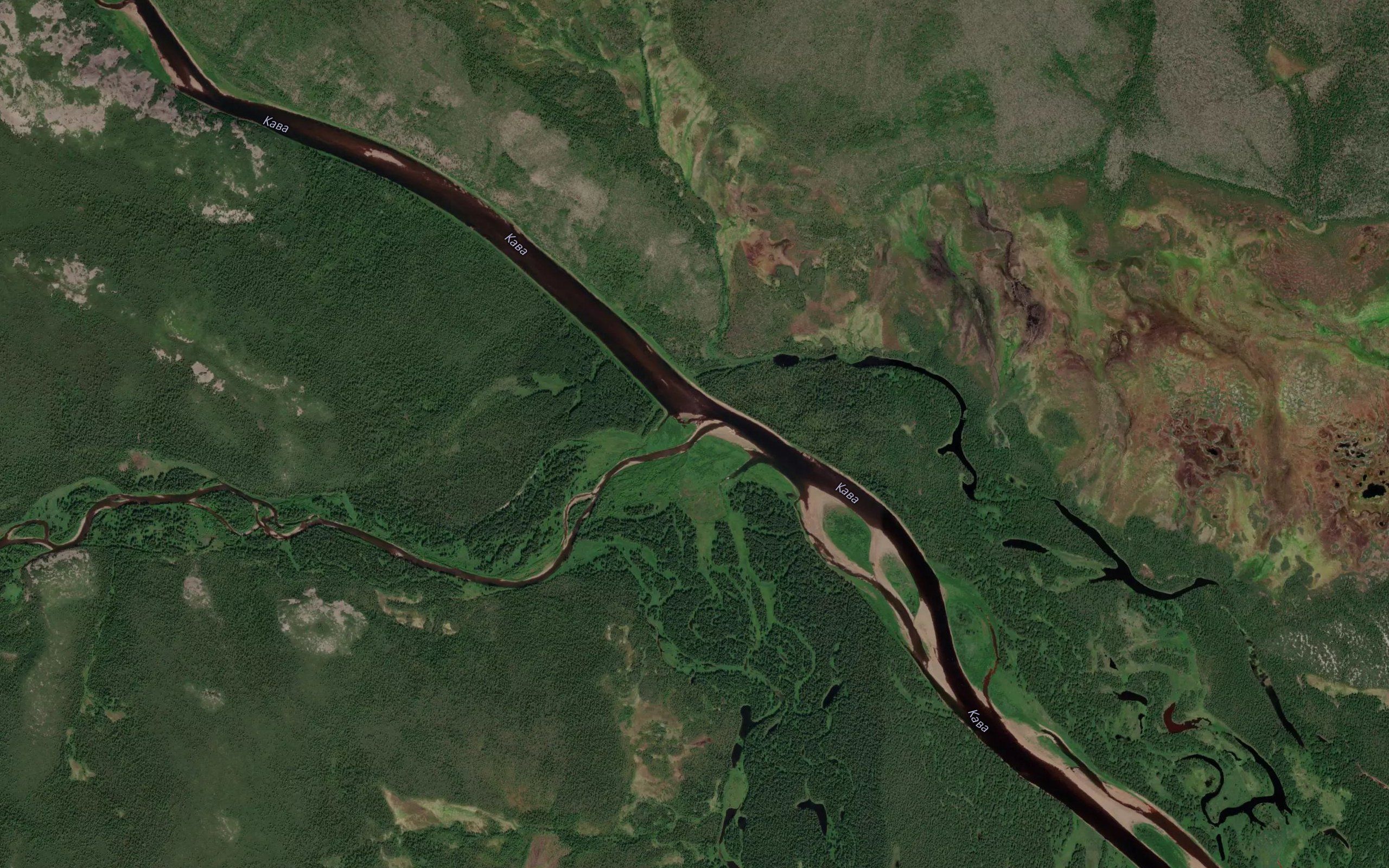 Kedrovka
