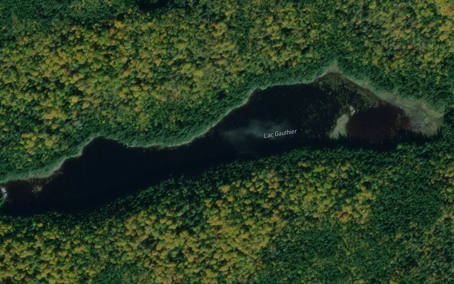 Satellite map of the Lac Gauthier