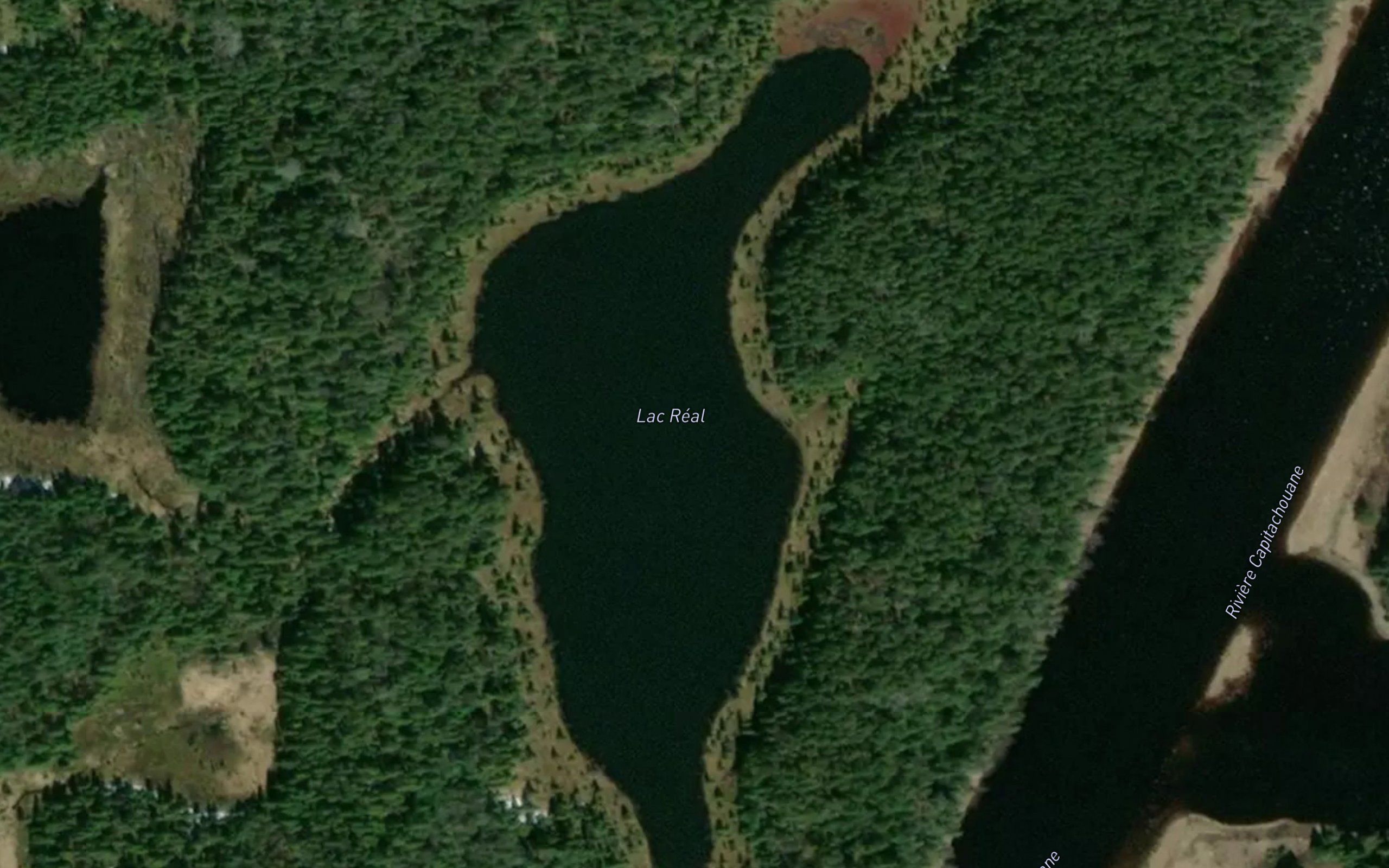 Lac Real