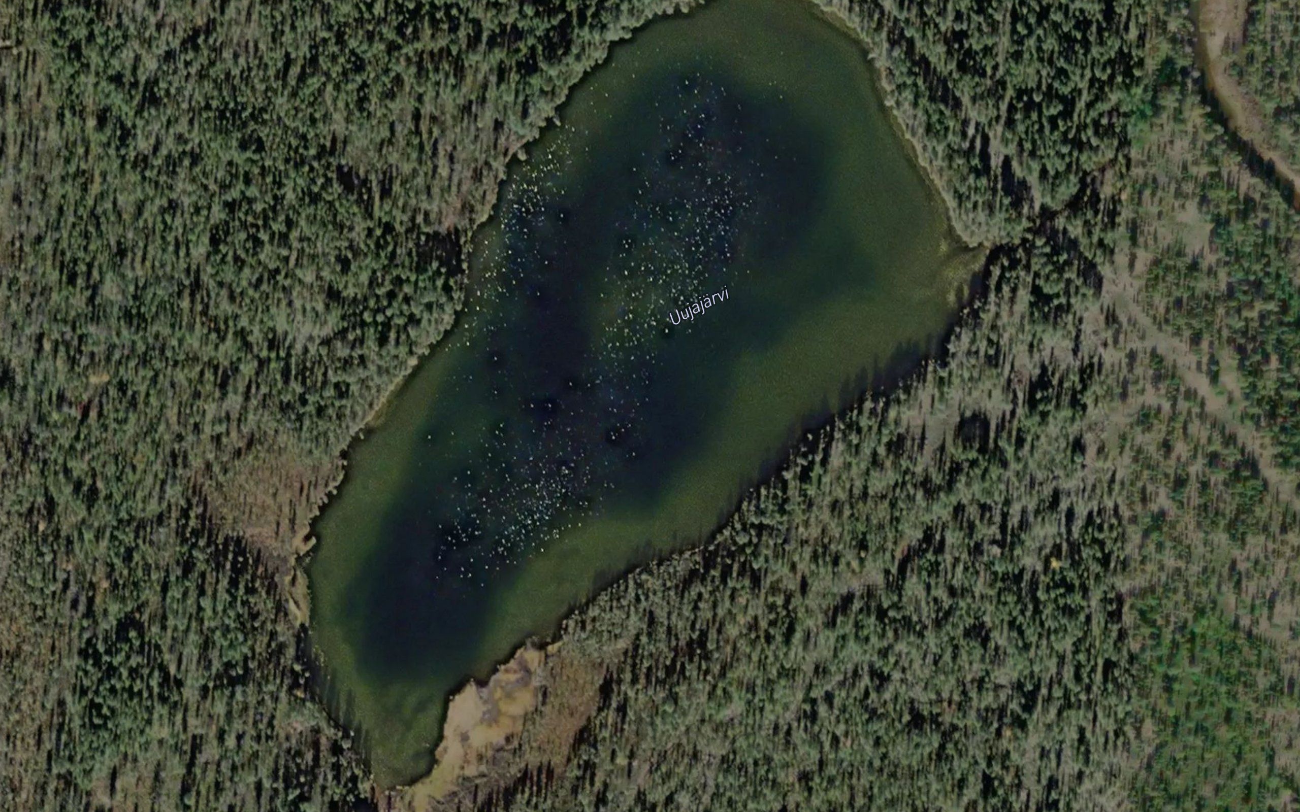 Uujajarvi