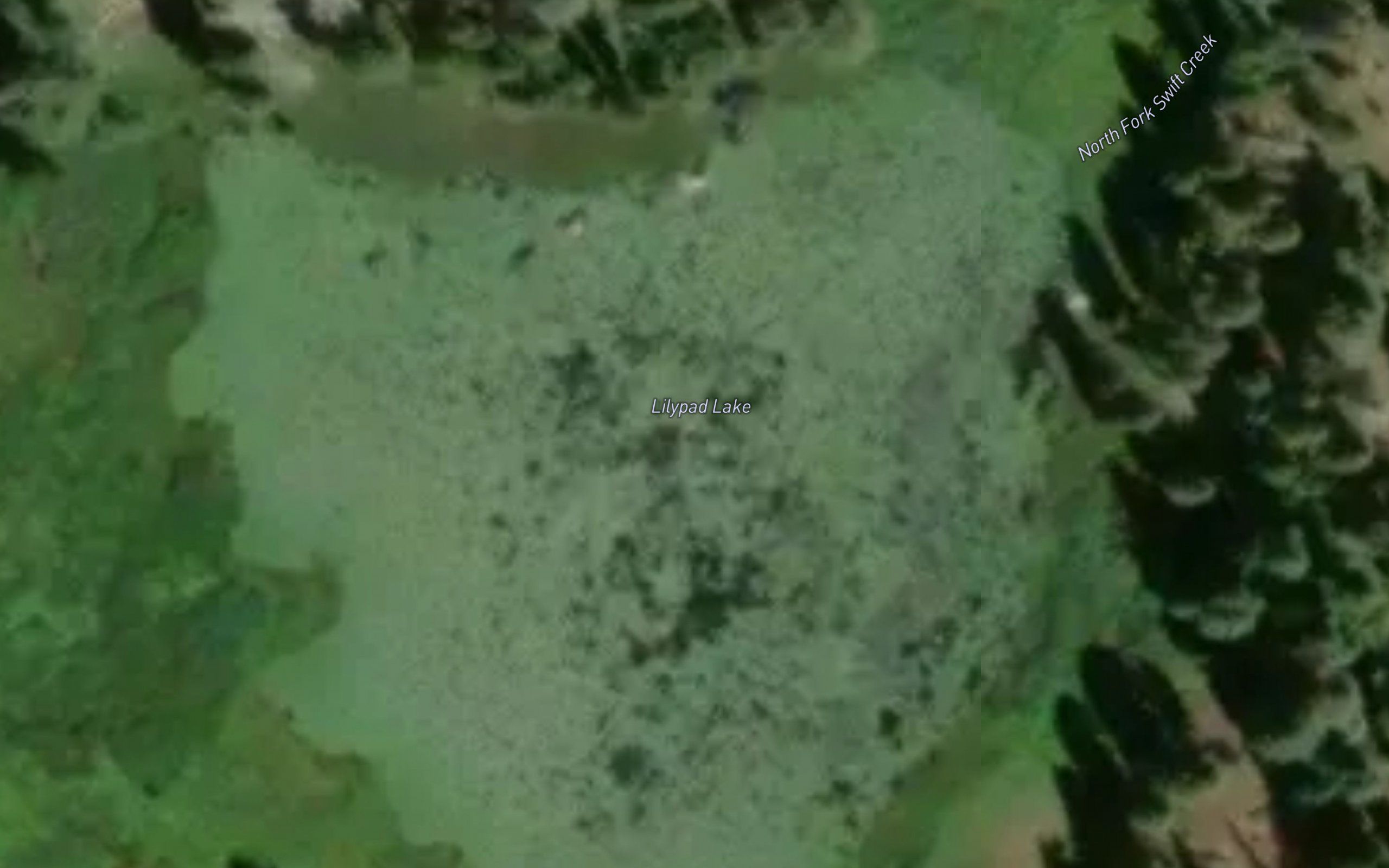 Lilypad Lake