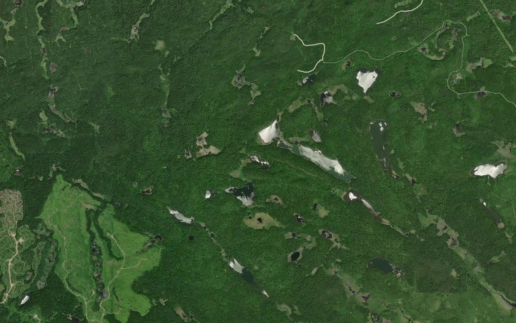 Satellite map of the Adair Lake