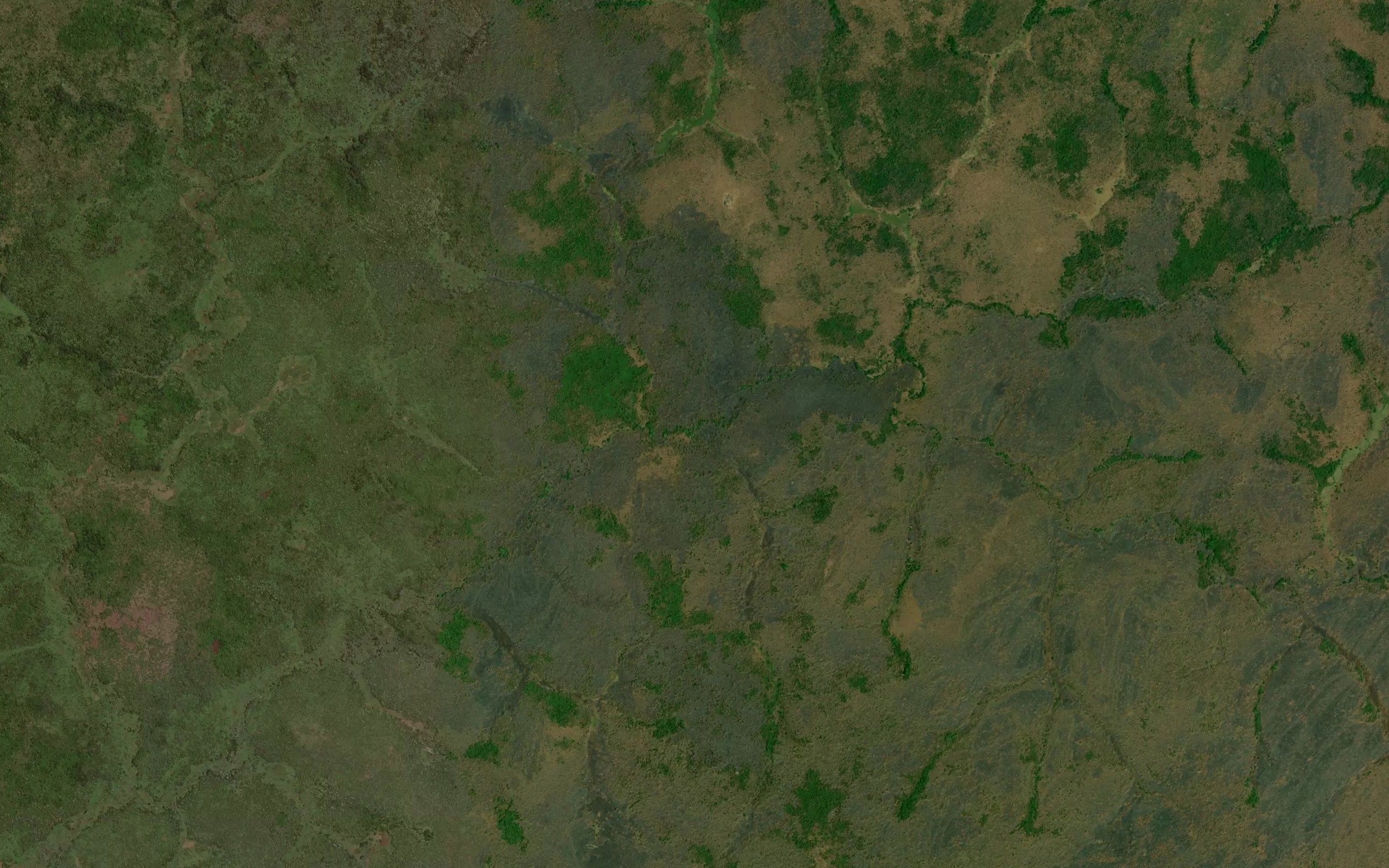 Nangiliwi