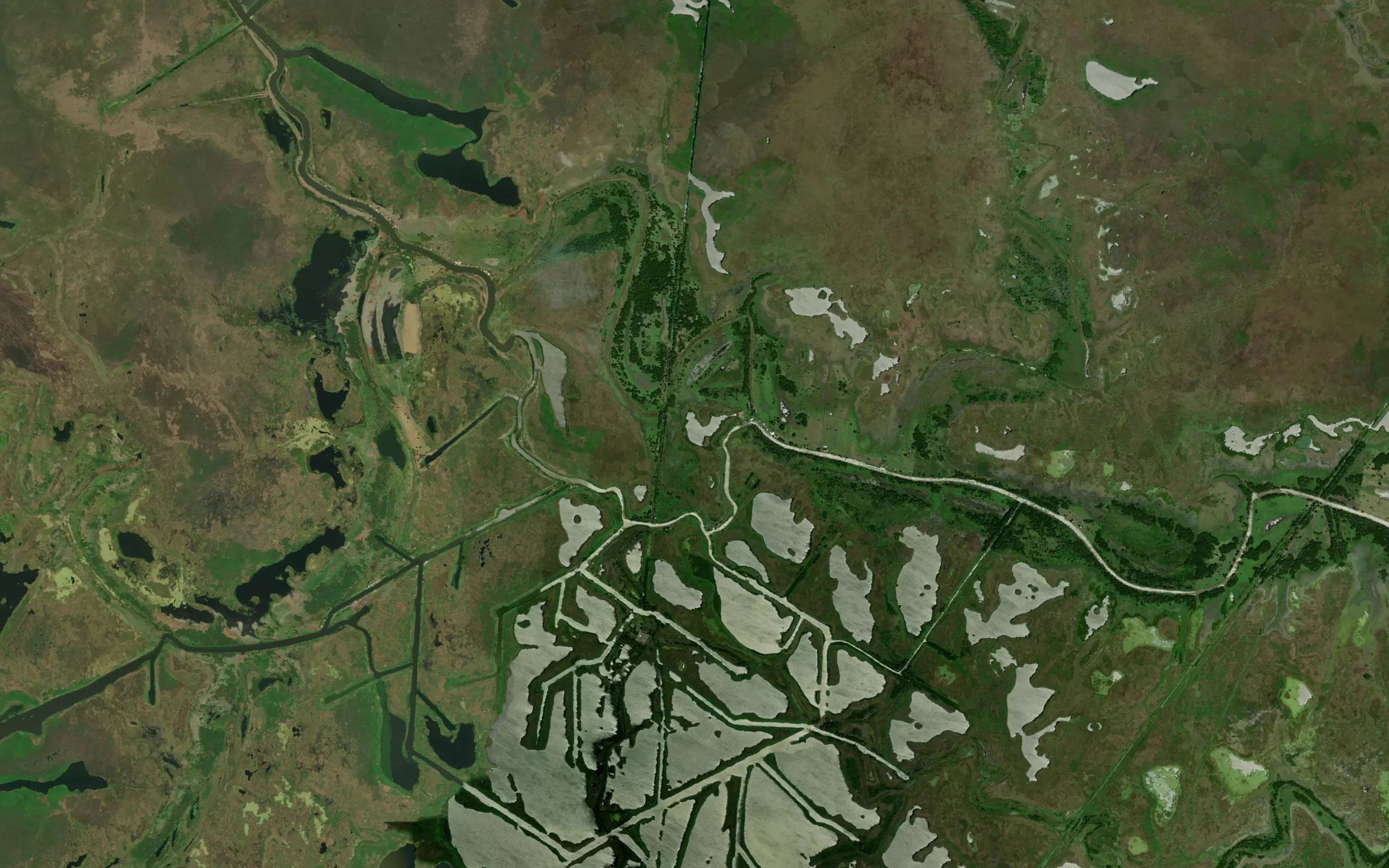 Laguna el Desierto
