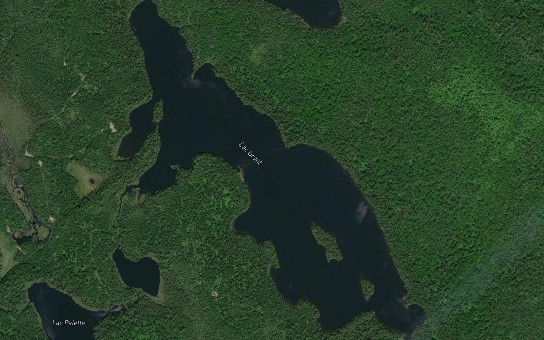 Satellite map of the Lac Grant