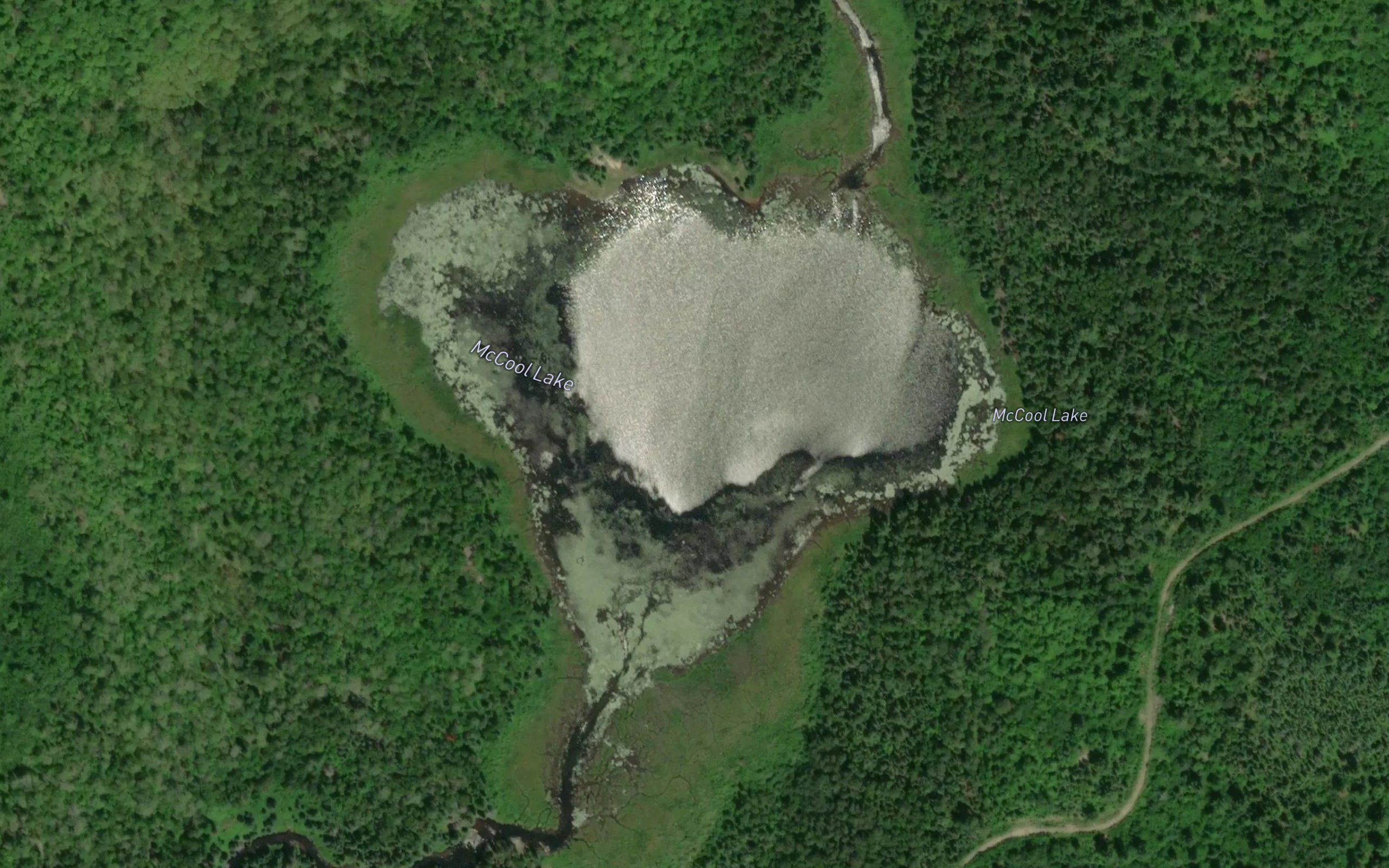 McCool Lake