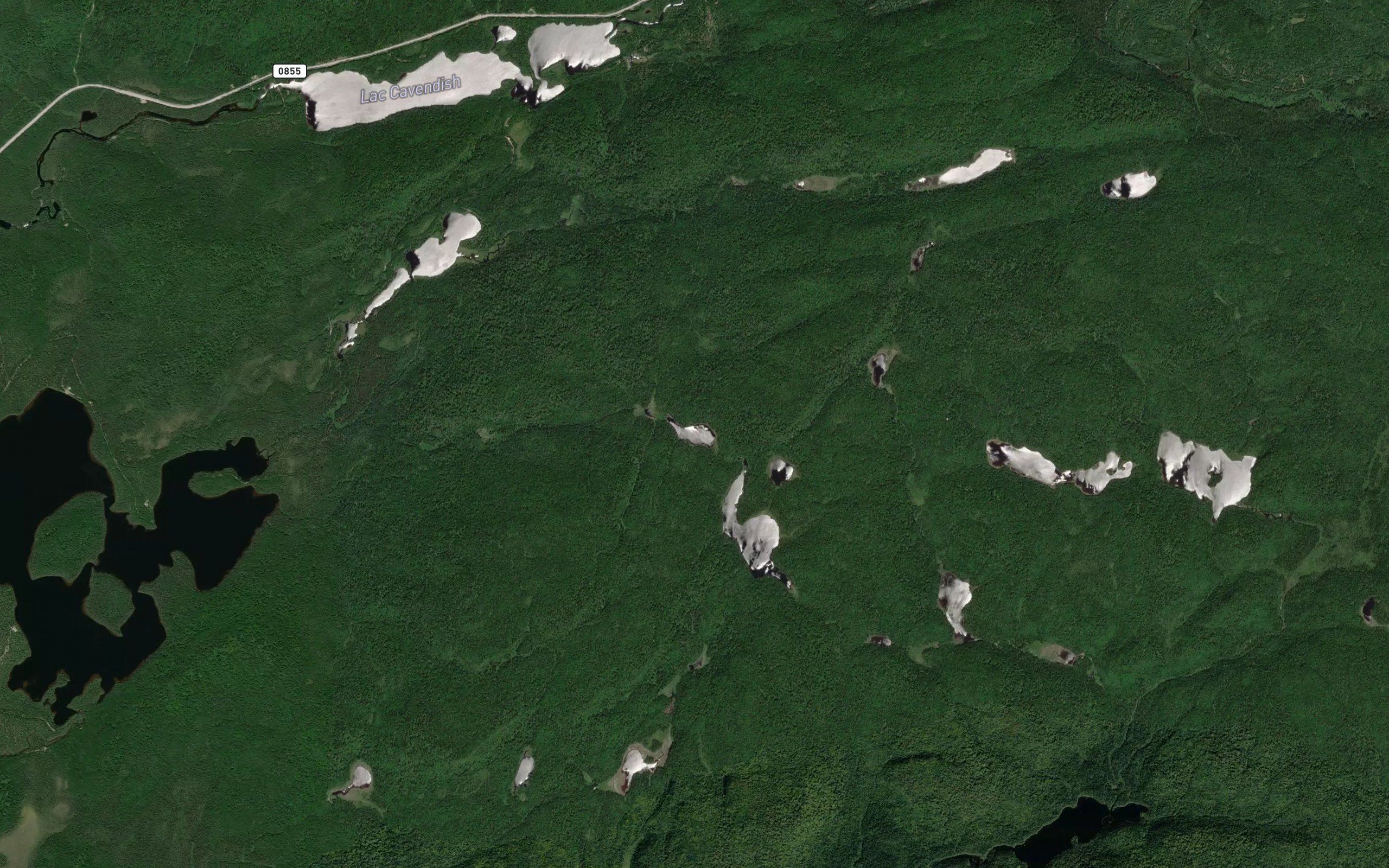 Lac du Tarpon