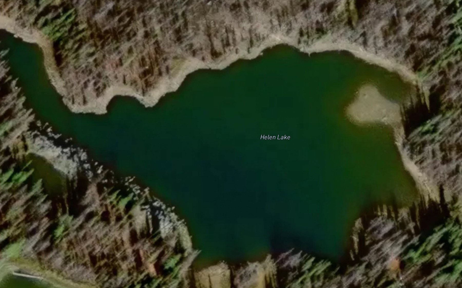 Satellite map of the Helen Lake