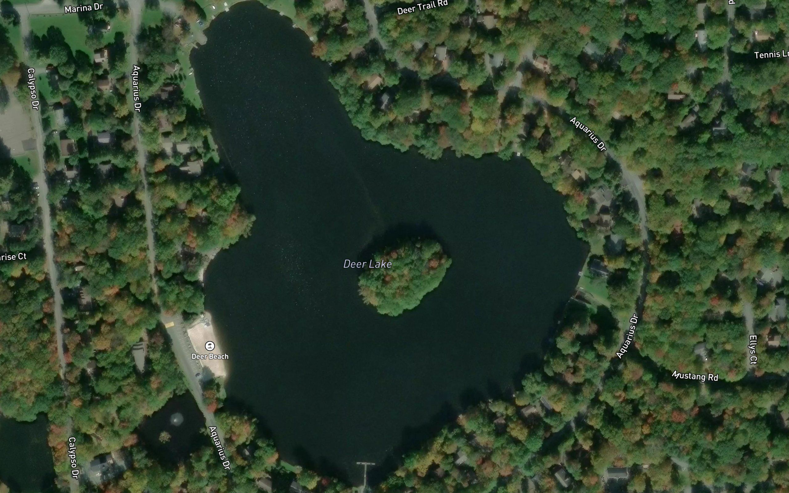 Deer Lake